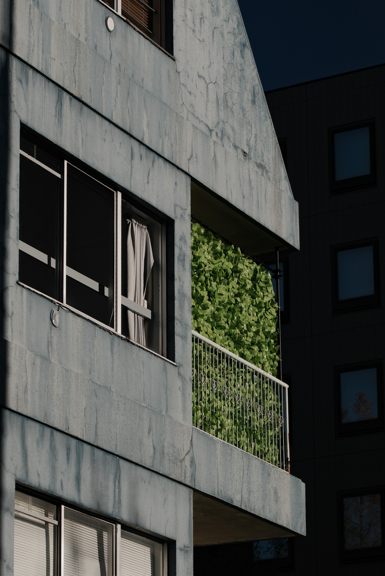 Modern building balcony adorned with lush green plants