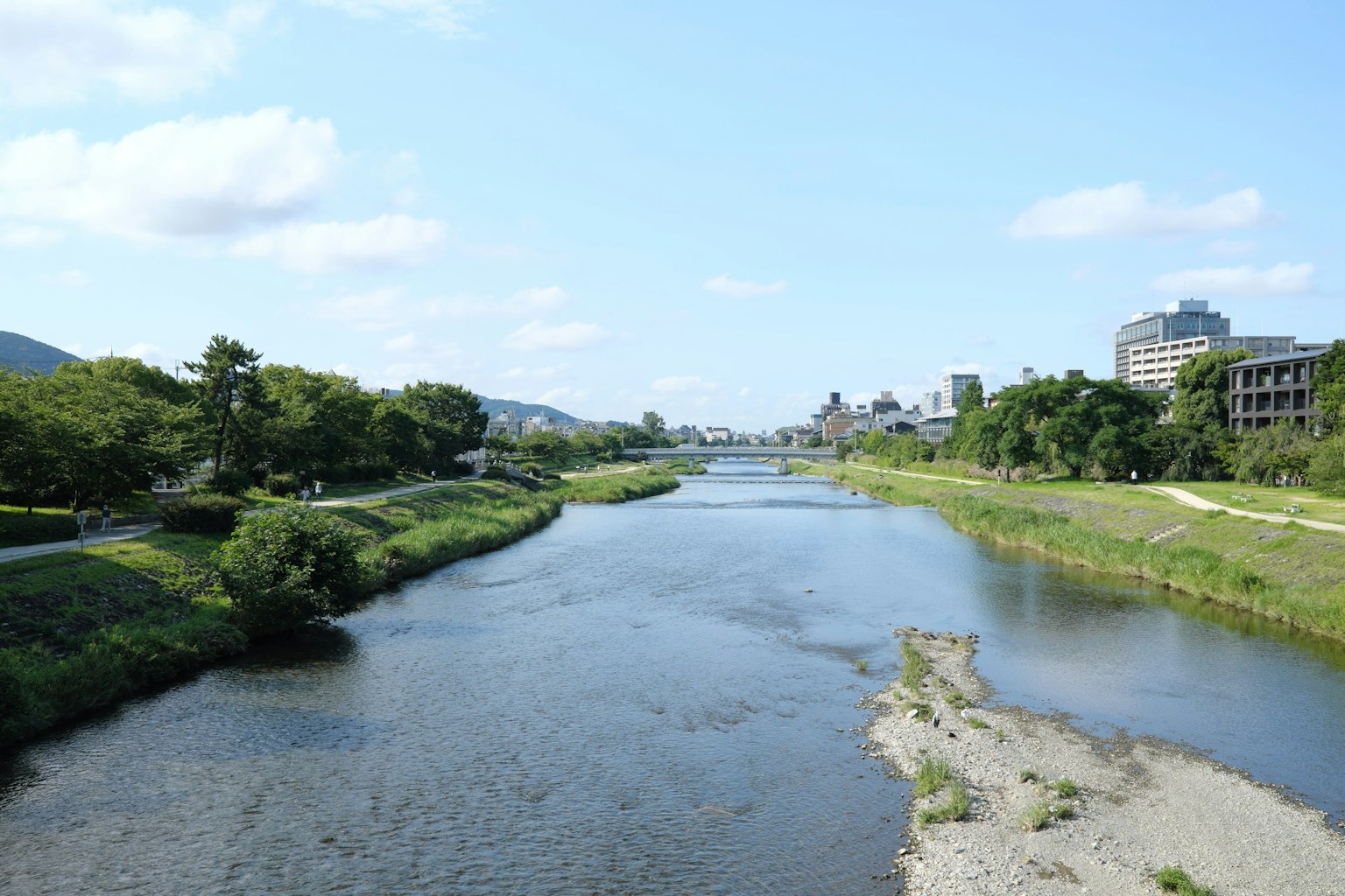 Paisaje de río bajo un cielo azul con bancos verdes y paisaje urbano