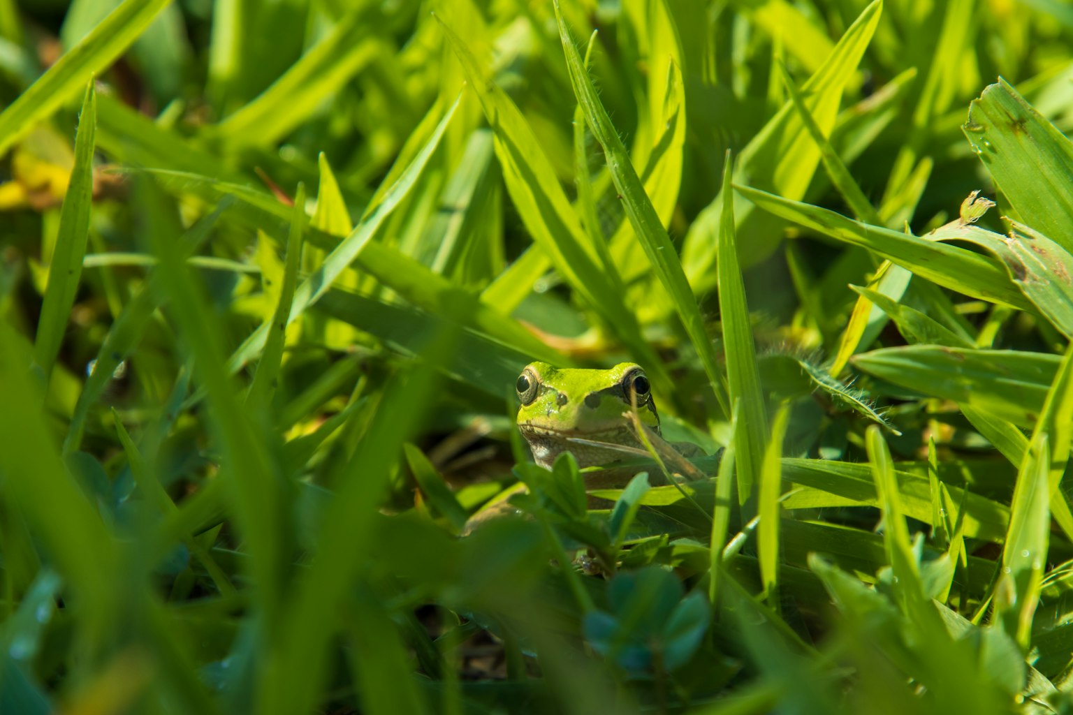 photo-o1LRDR7g1mTJ80K98T2F-image