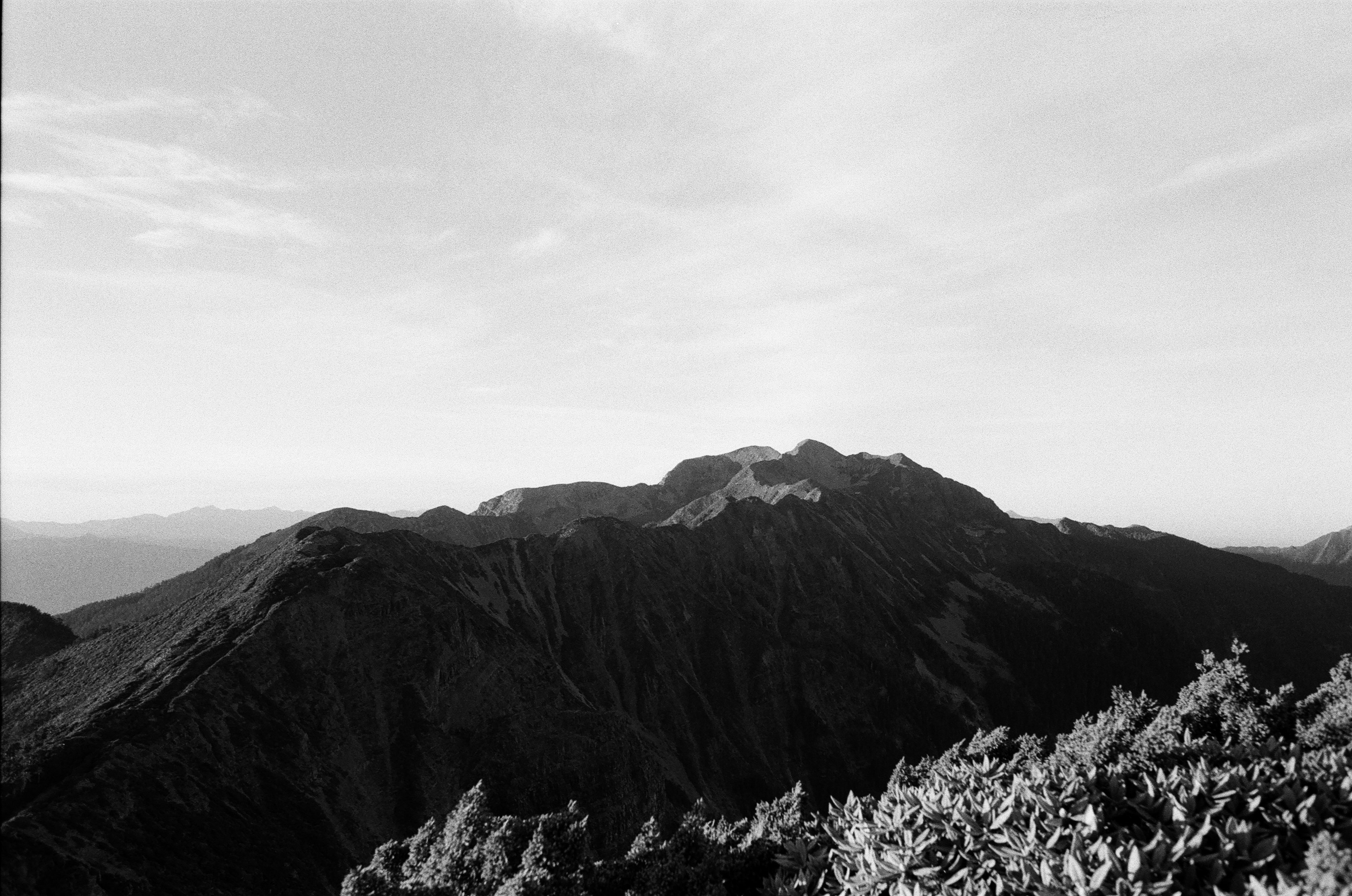 黒い山並みと霧のかかった稜線、前景の低木