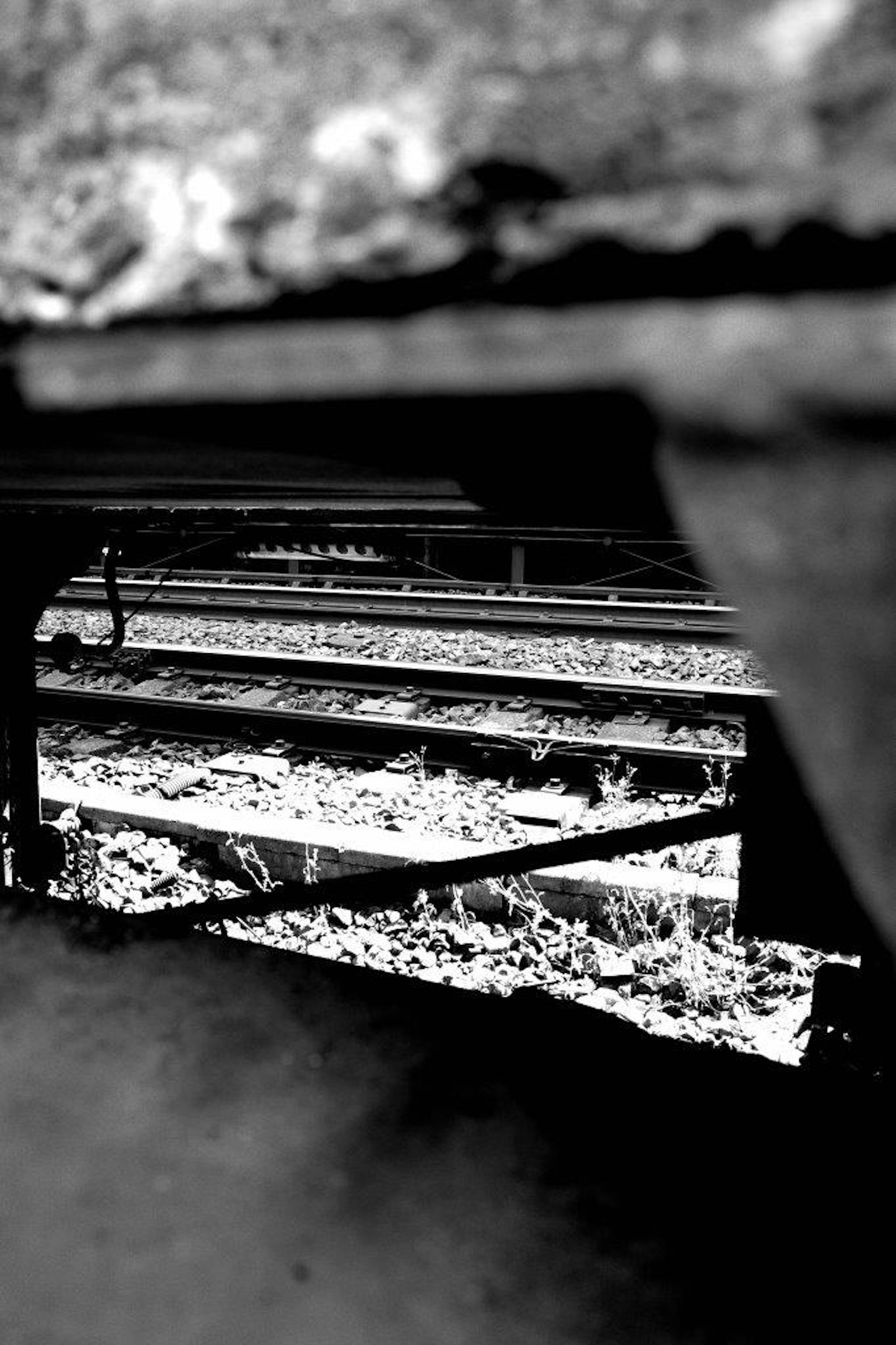Photo en noir et blanc montrant des rails de train visibles