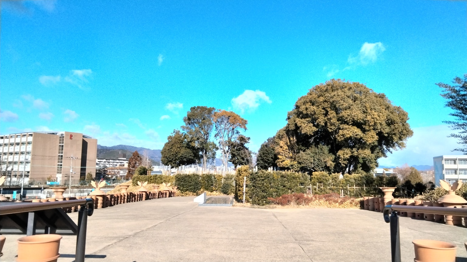 公园景观，蓝天和绿色树木