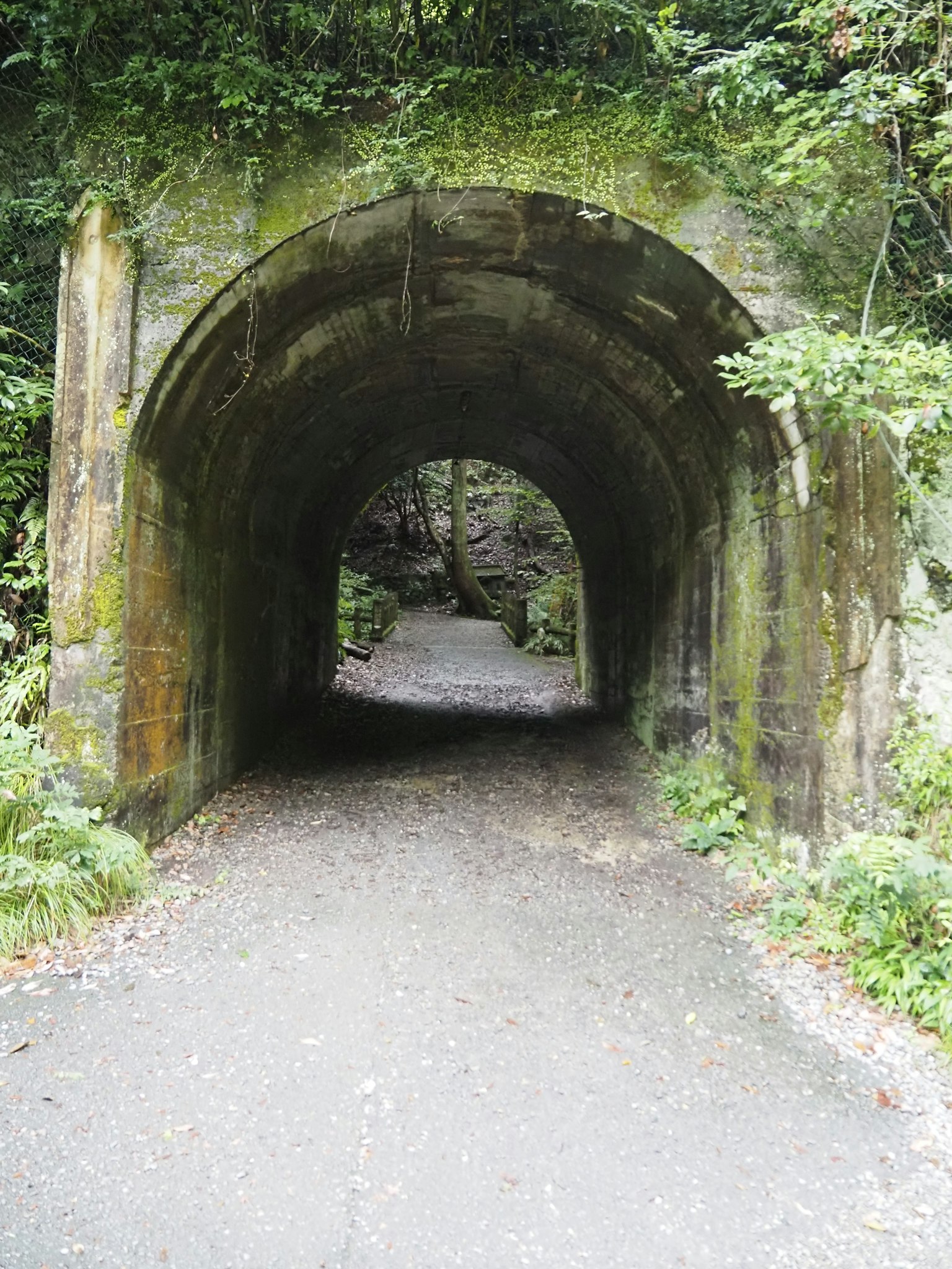 Entrance of a moss-covered tunnel surrounded by greenery and a quiet path