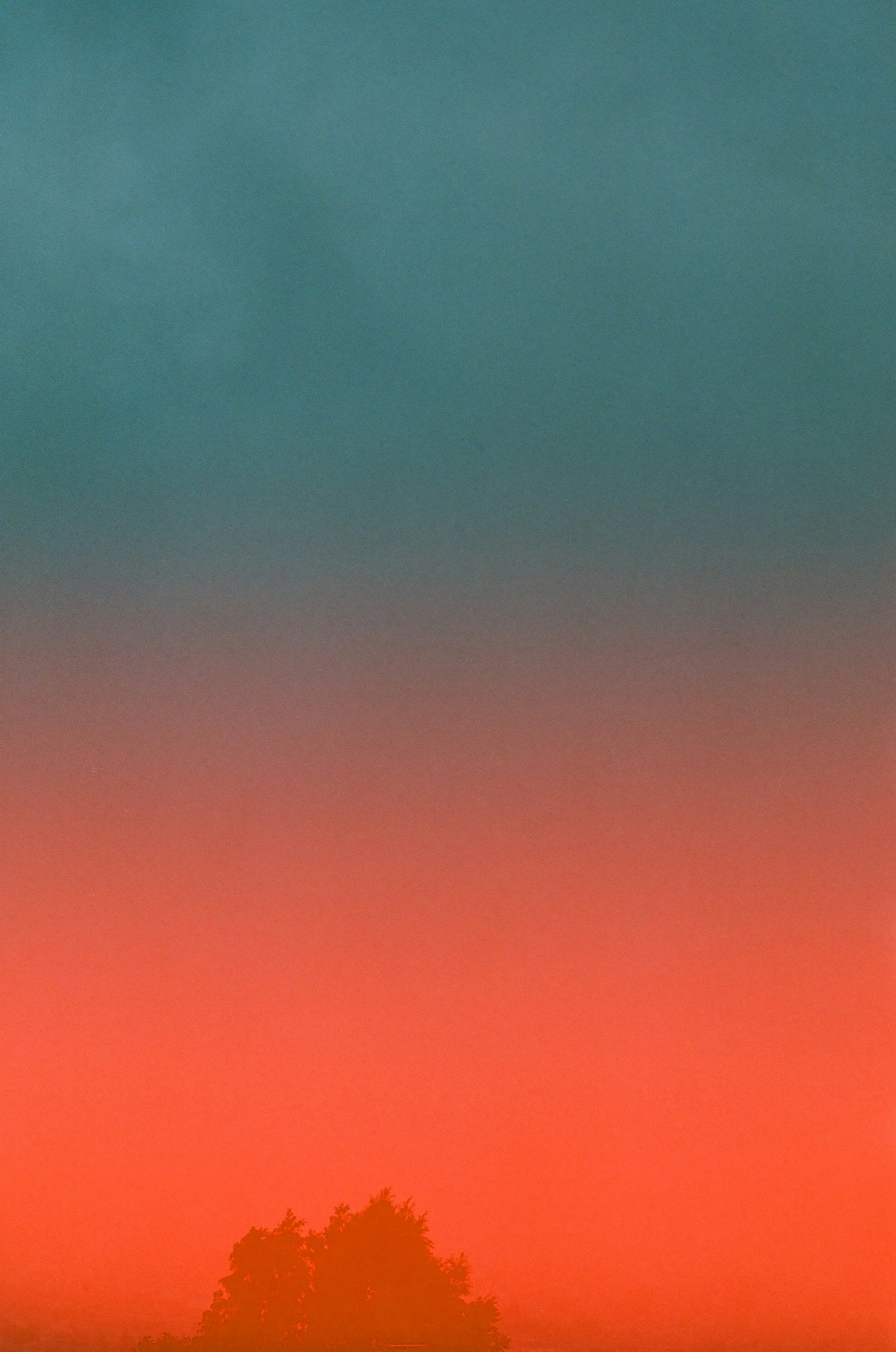 Farbverlauf in Teal und Orange mit einer Silhouette von Bäumen