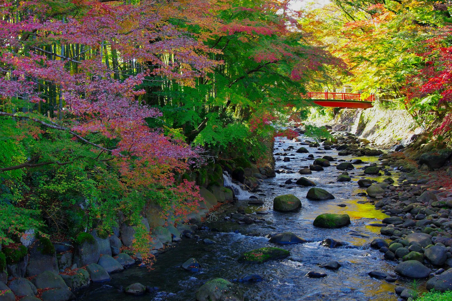 Malersches Flusslandschaft mit lebendigem Herbstlaub und einer roten Brücke
