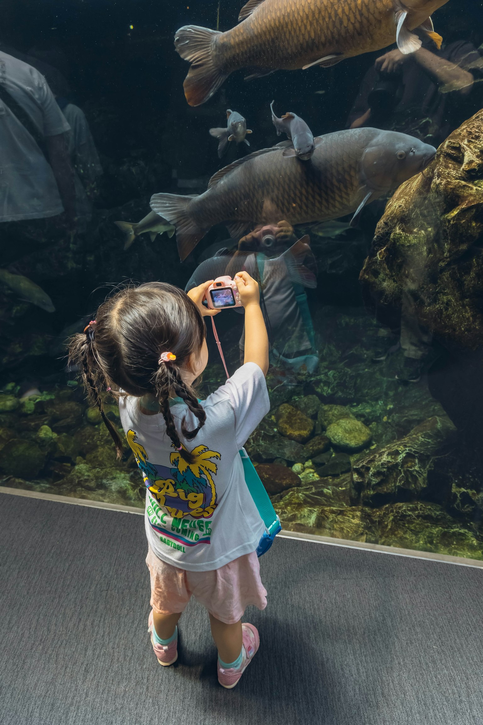 Child taking a photo of fish at an aquarium