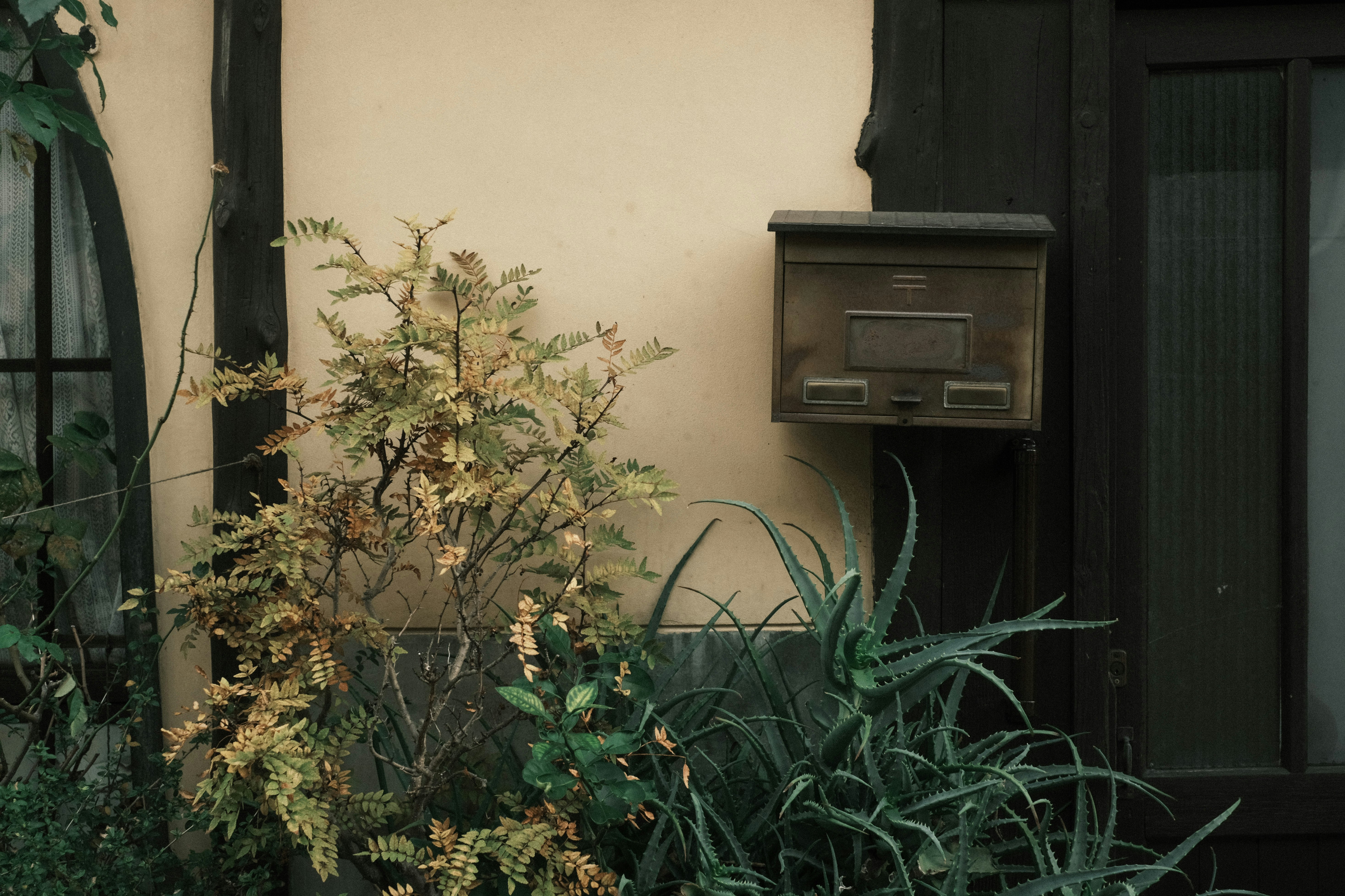 cour intérieure avec plantes en pots et boîte aux lettres