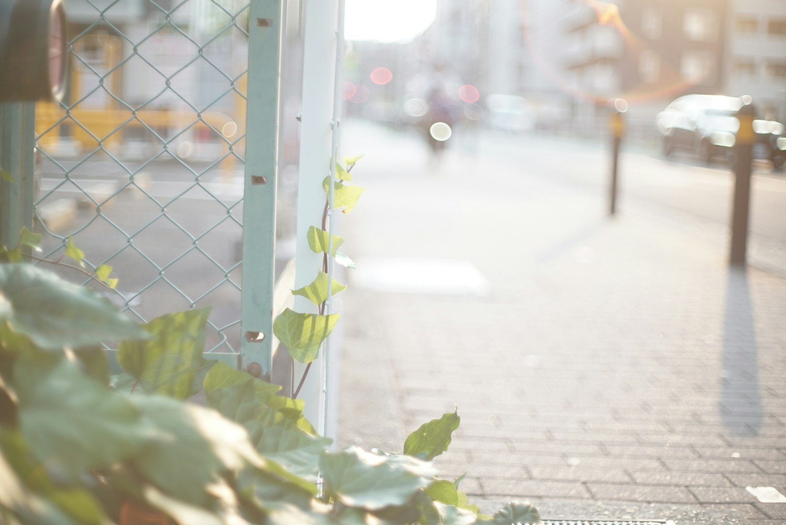 photo-o32f1HMJ1p2oE9XGxq6m-image