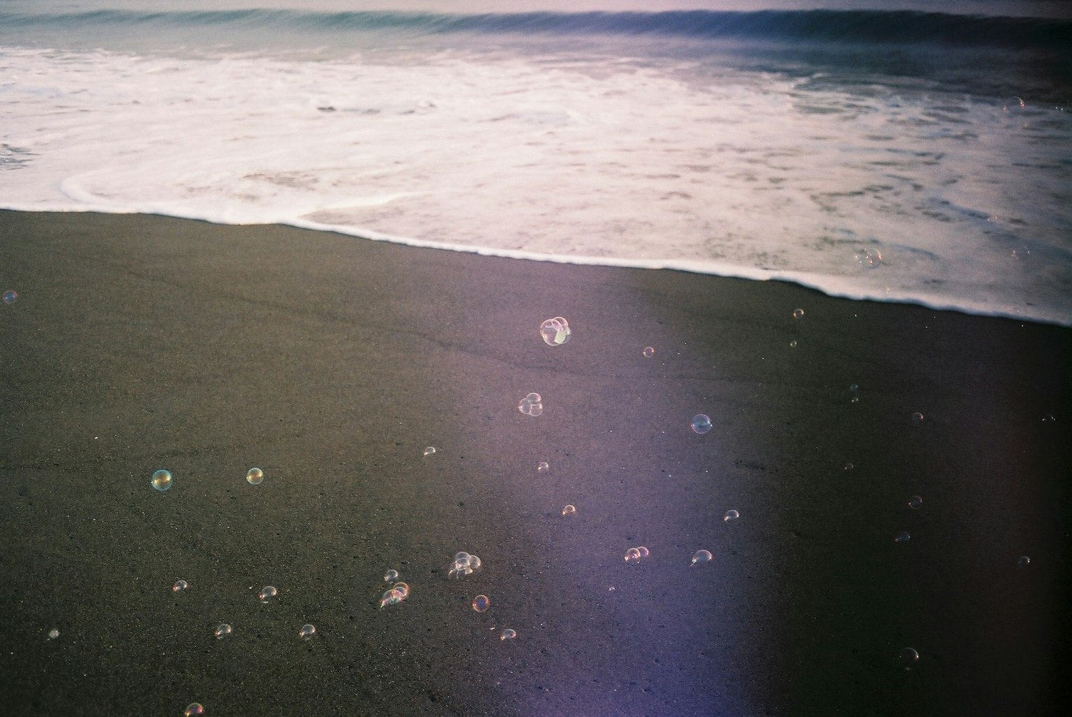 Beach with washed-up jellyfish and waves
