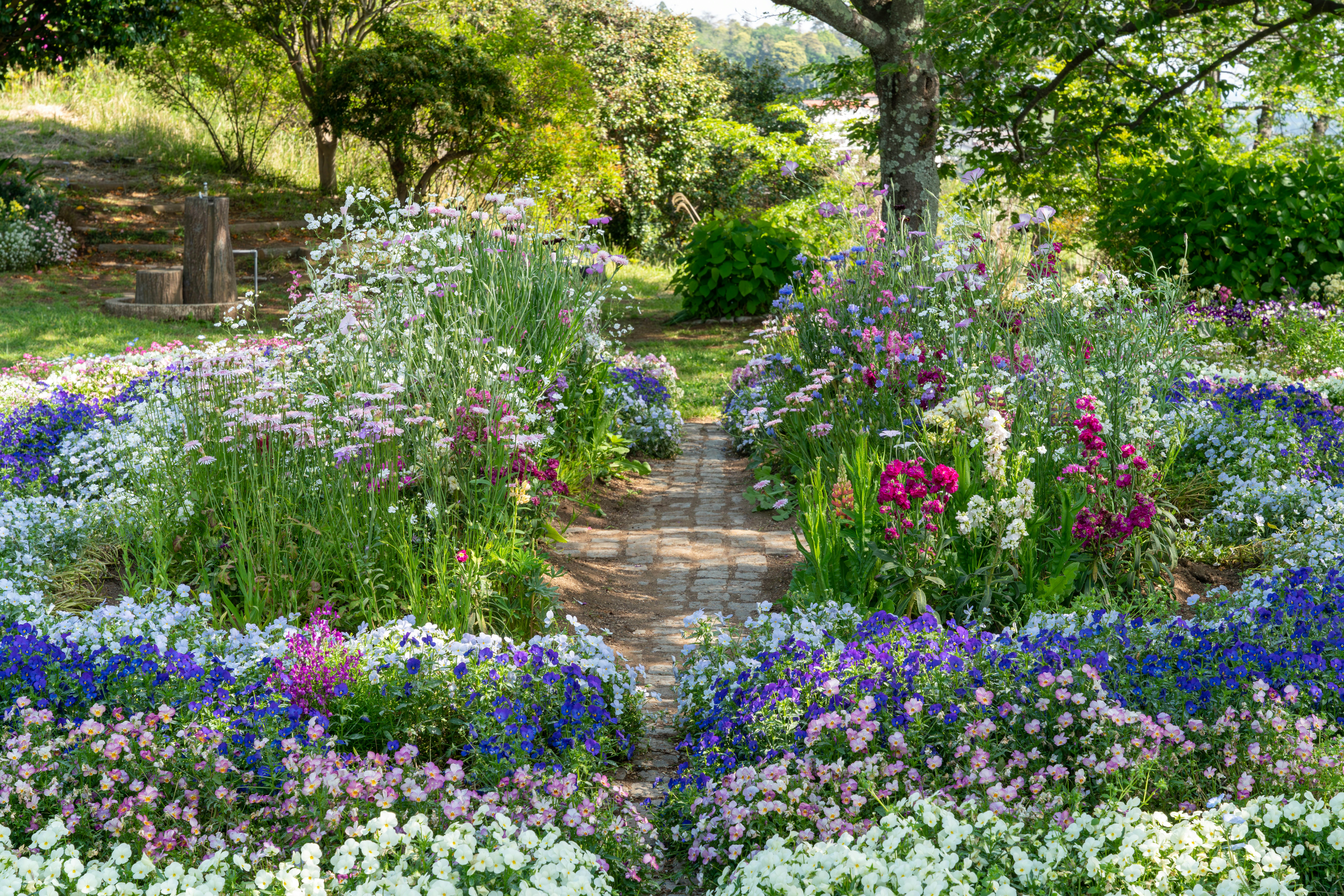 色とりどりの花々に囲まれた庭の小道