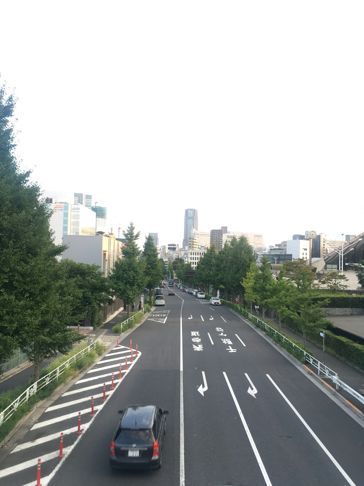 도로와 녹색 나무가 늘어선 도시 풍경