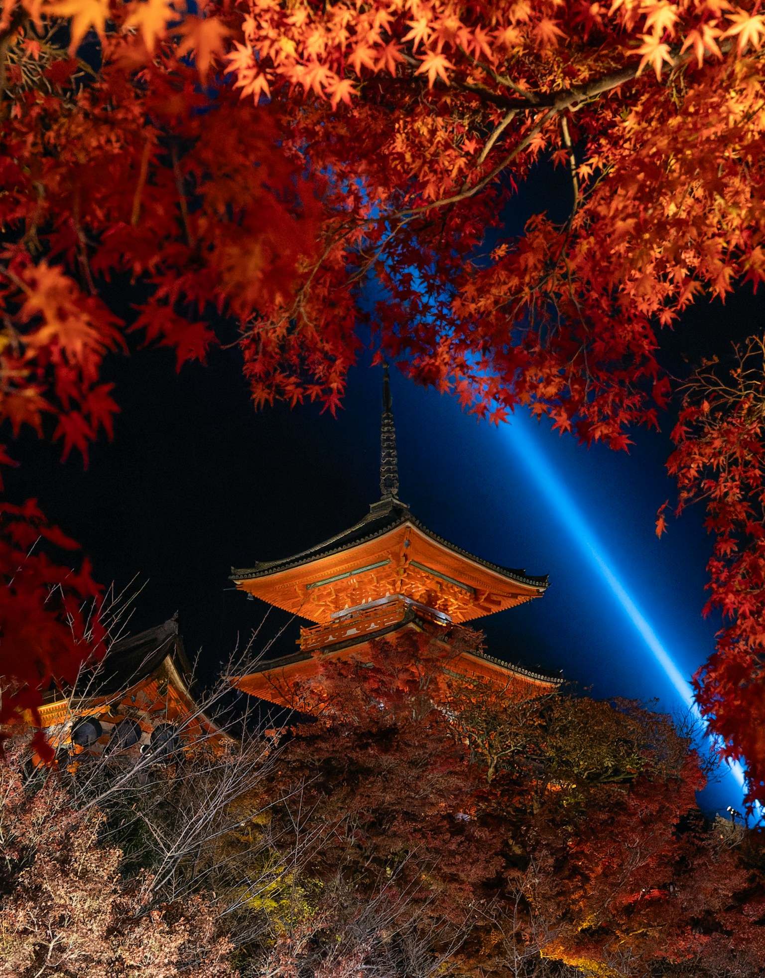 夜晚被秋葉包圍的京都清水寺的美麗景觀