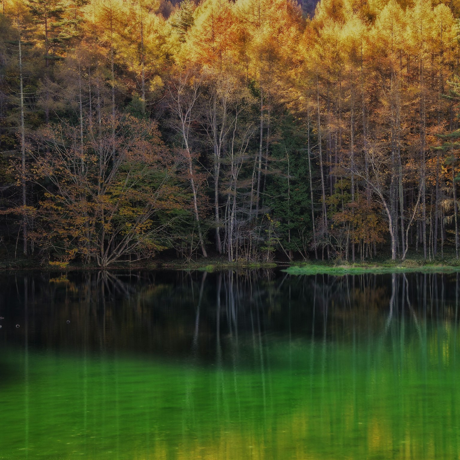 ทิวทัศน์ฤดูใบไม้ร่วงที่สวยงามพร้อมทะเลสาบและการสะท้อนของต้นไม้ที่มีสีสัน