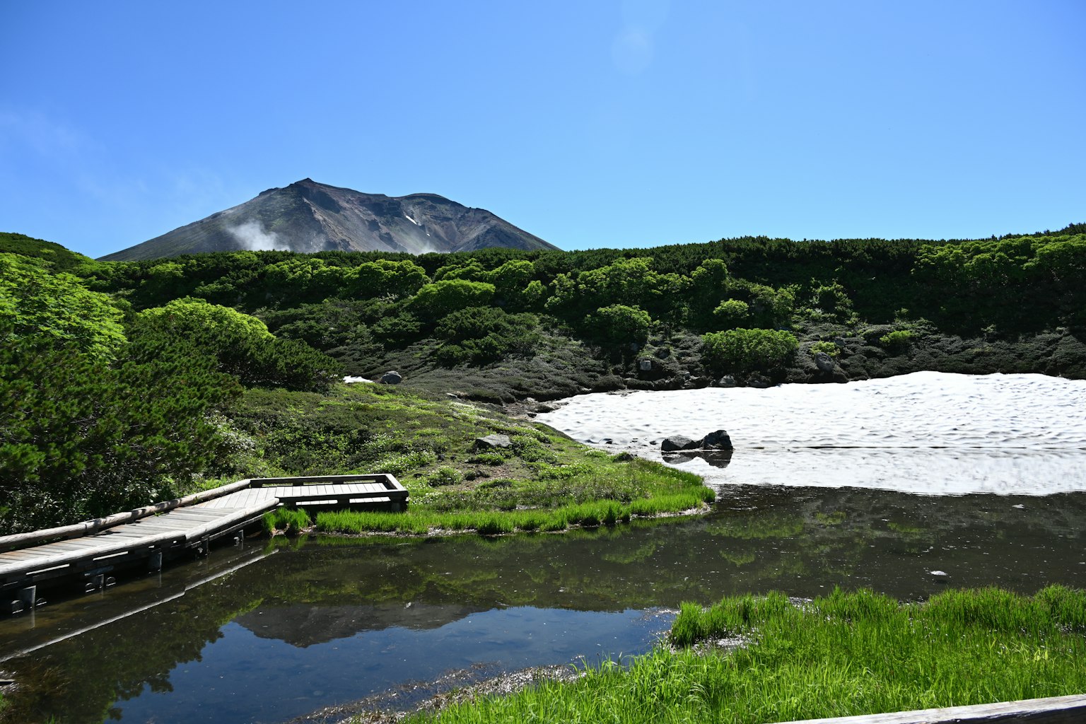 photo-o41TLIUrMqxghJWc8l43-image