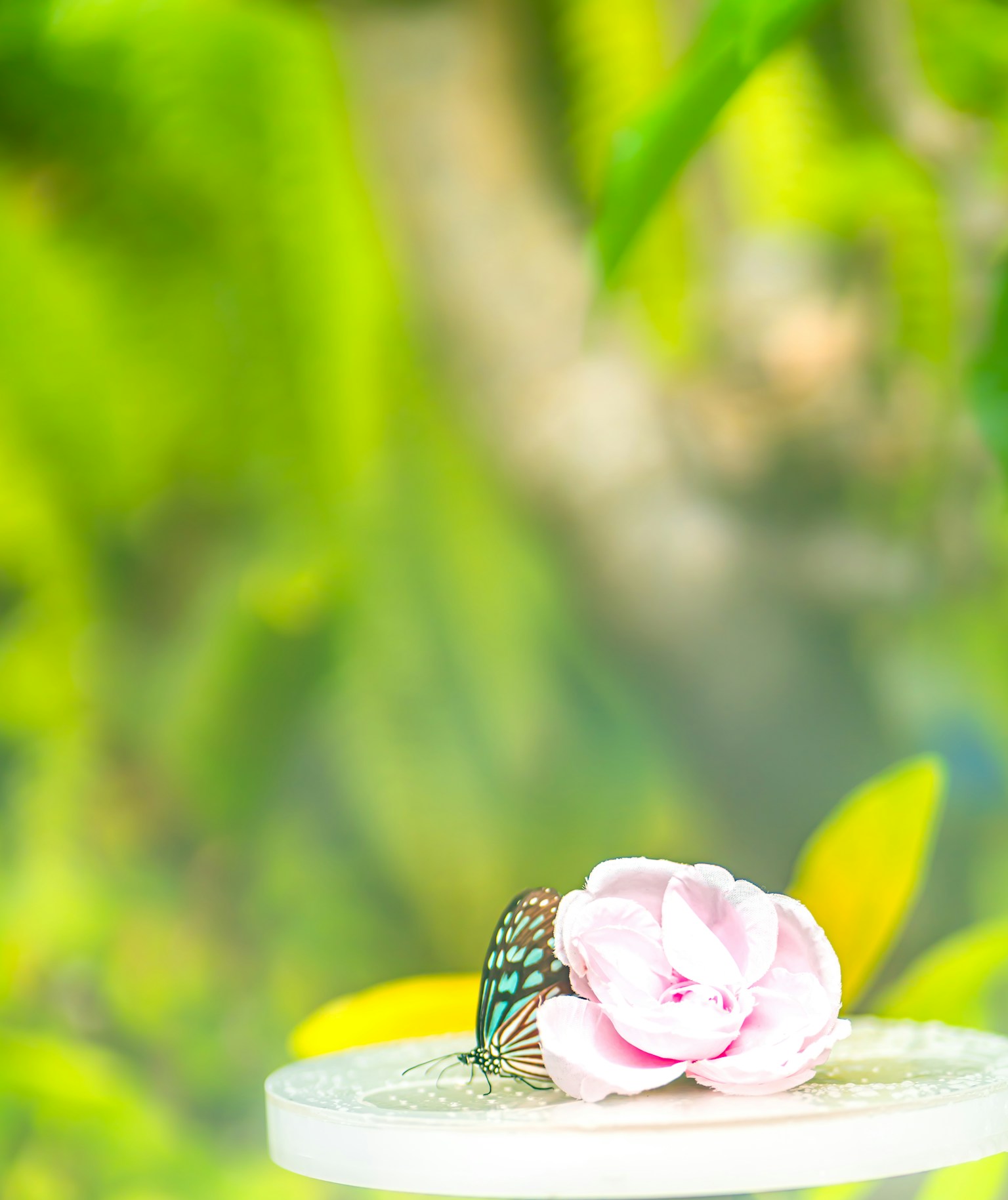 淡いピンクの花が緑の背景に置かれている美しいシーン