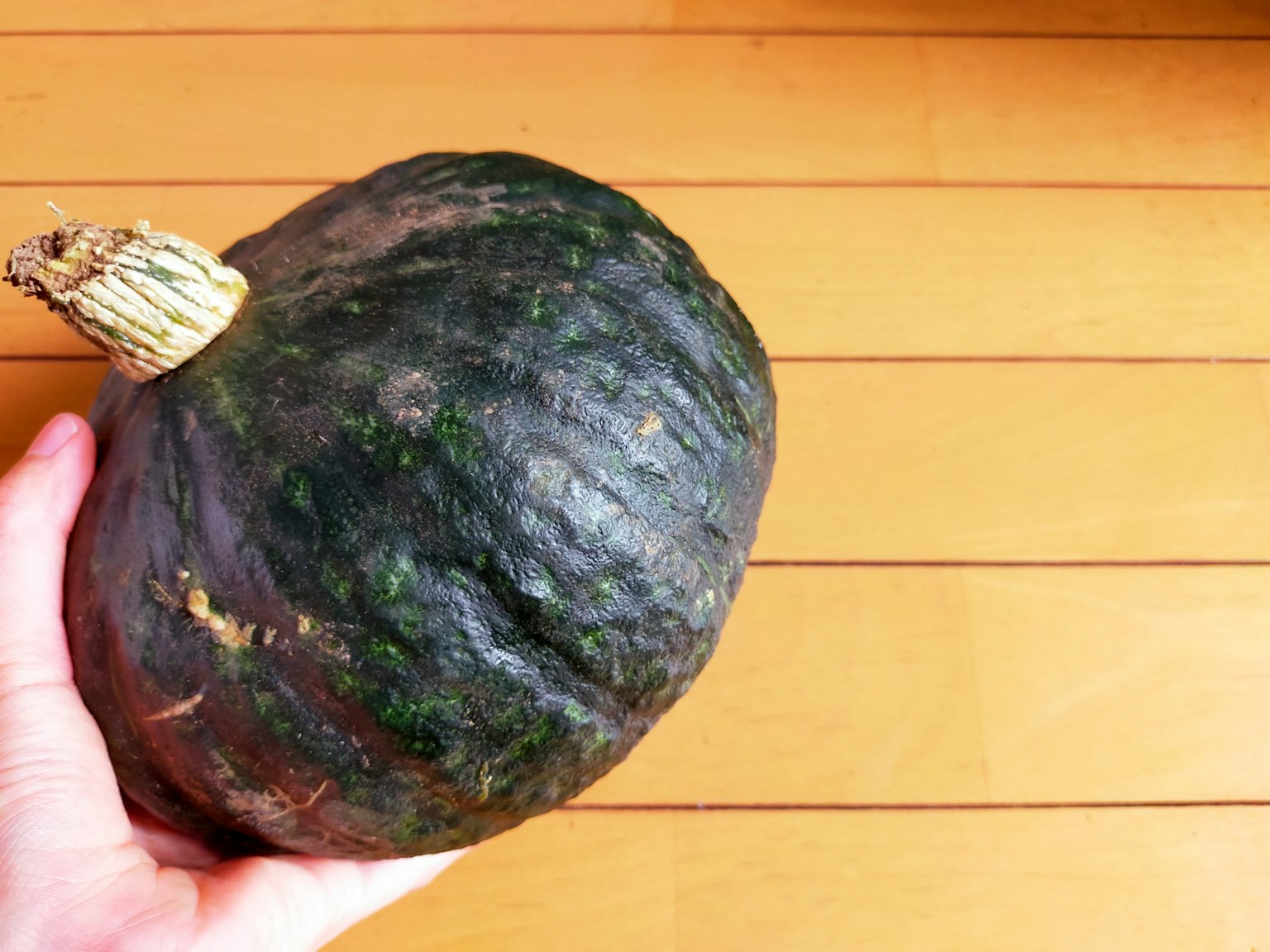 Una mano che tiene una zucca verde scuro su uno sfondo di legno