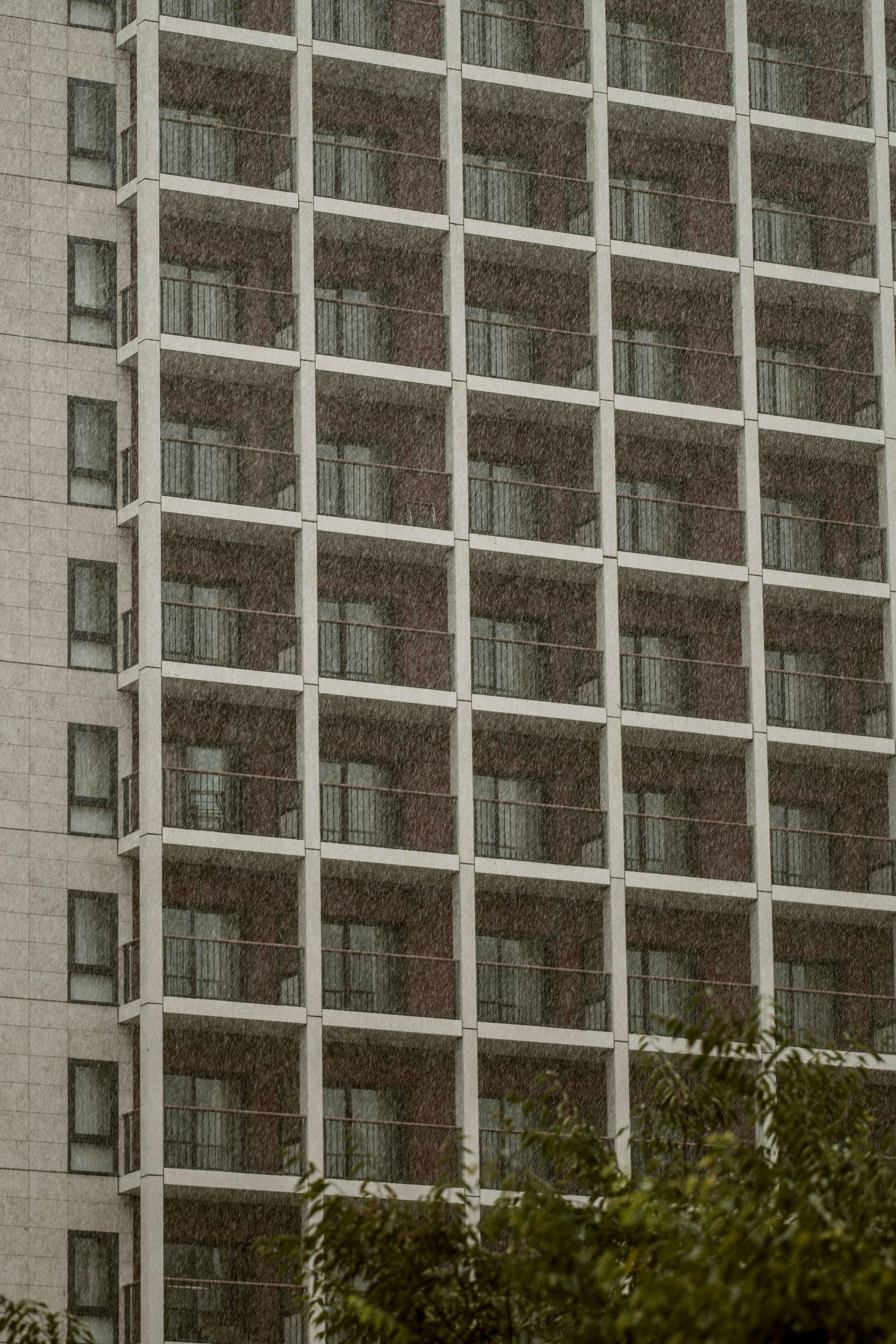 雨中的高層建築窗格
