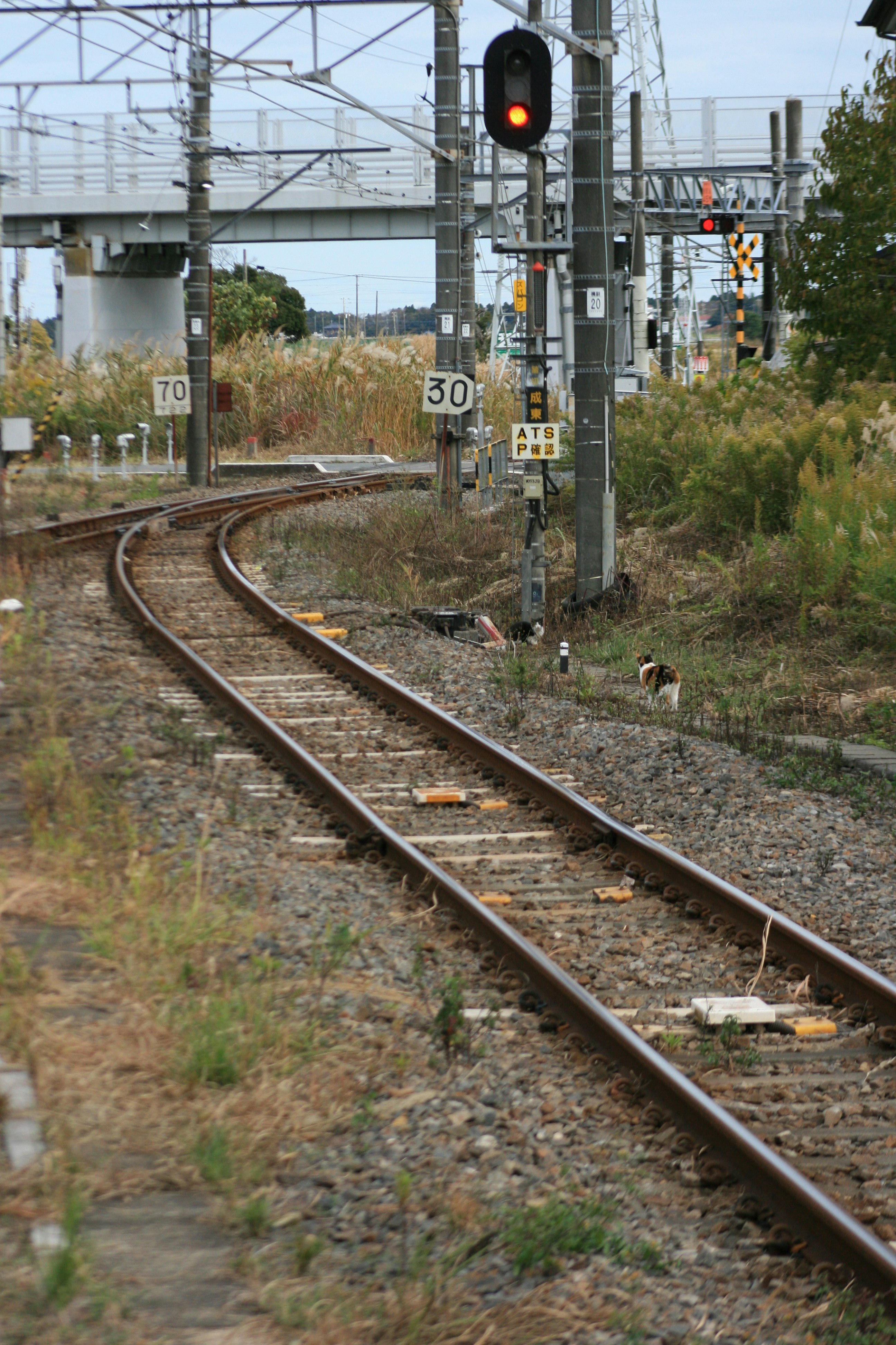 rails de chemin de fer qui courbent près d’un passage à niveau en banlieue