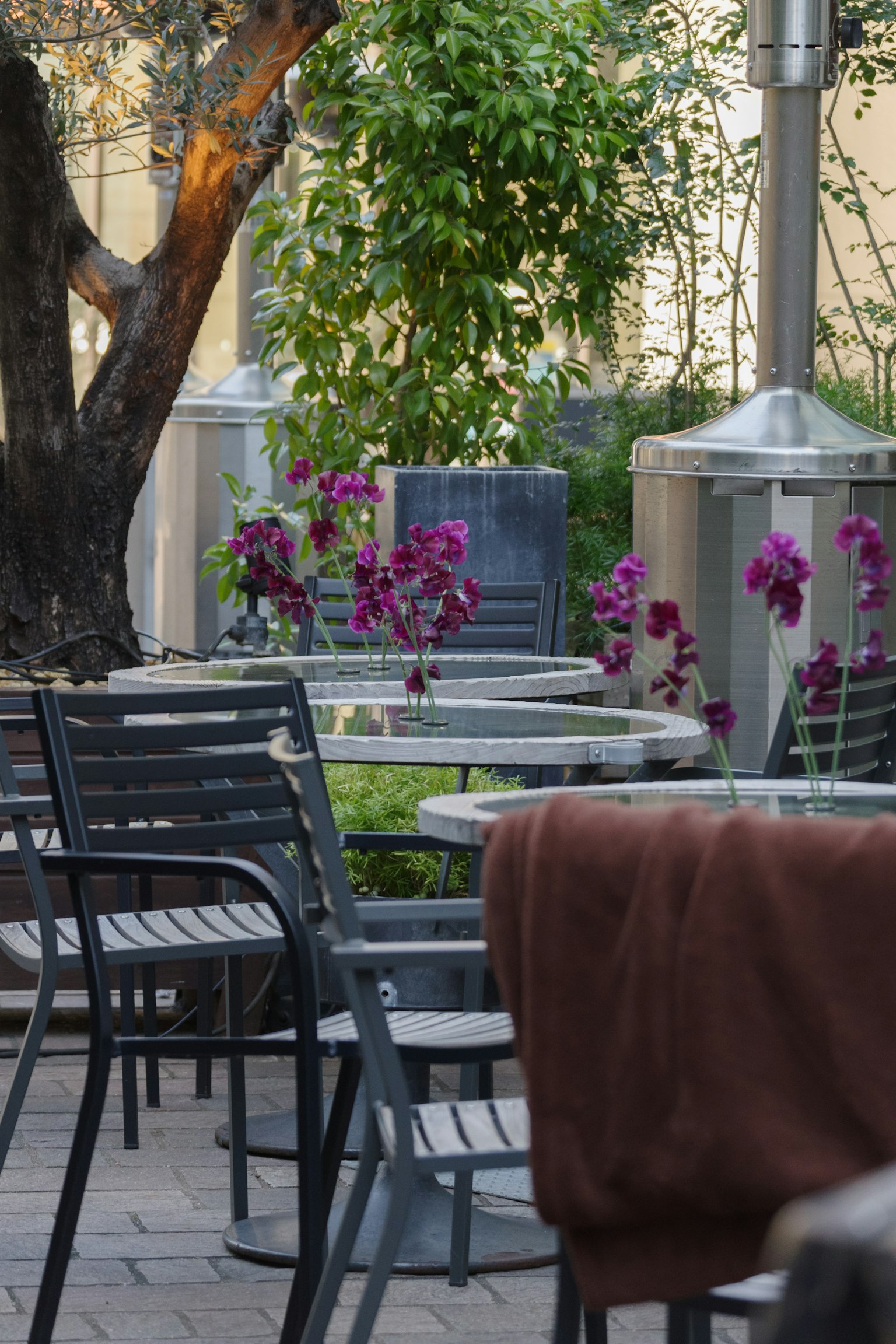 Area caffè all'aperto con tavoli e sedie e orchidee viola in fiore