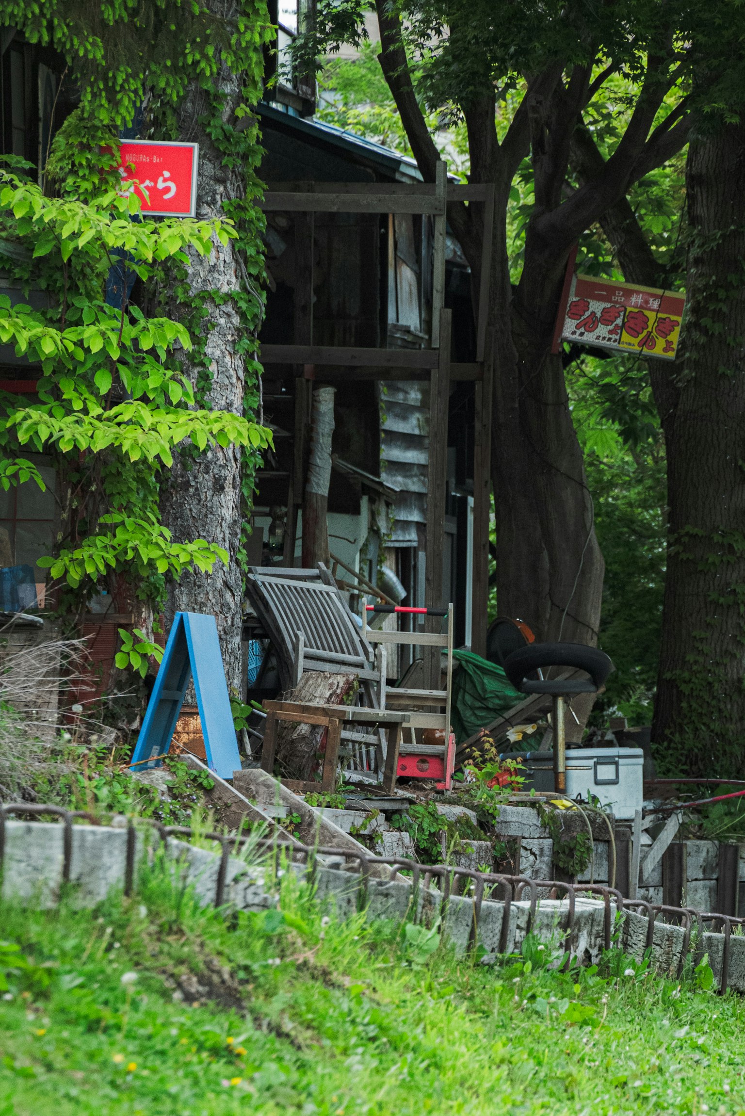 一個鄉村場景，展示了一座古老的小屋，周圍環繞著綠色植物和各種物品