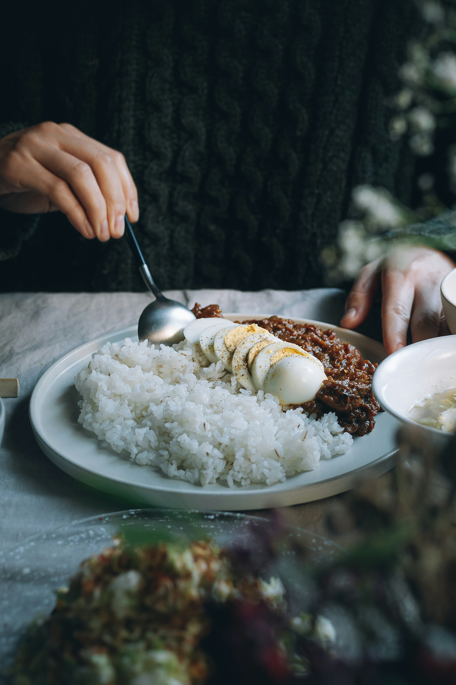 Close-up of a hand holding a spoon over a plate of rice and meat
