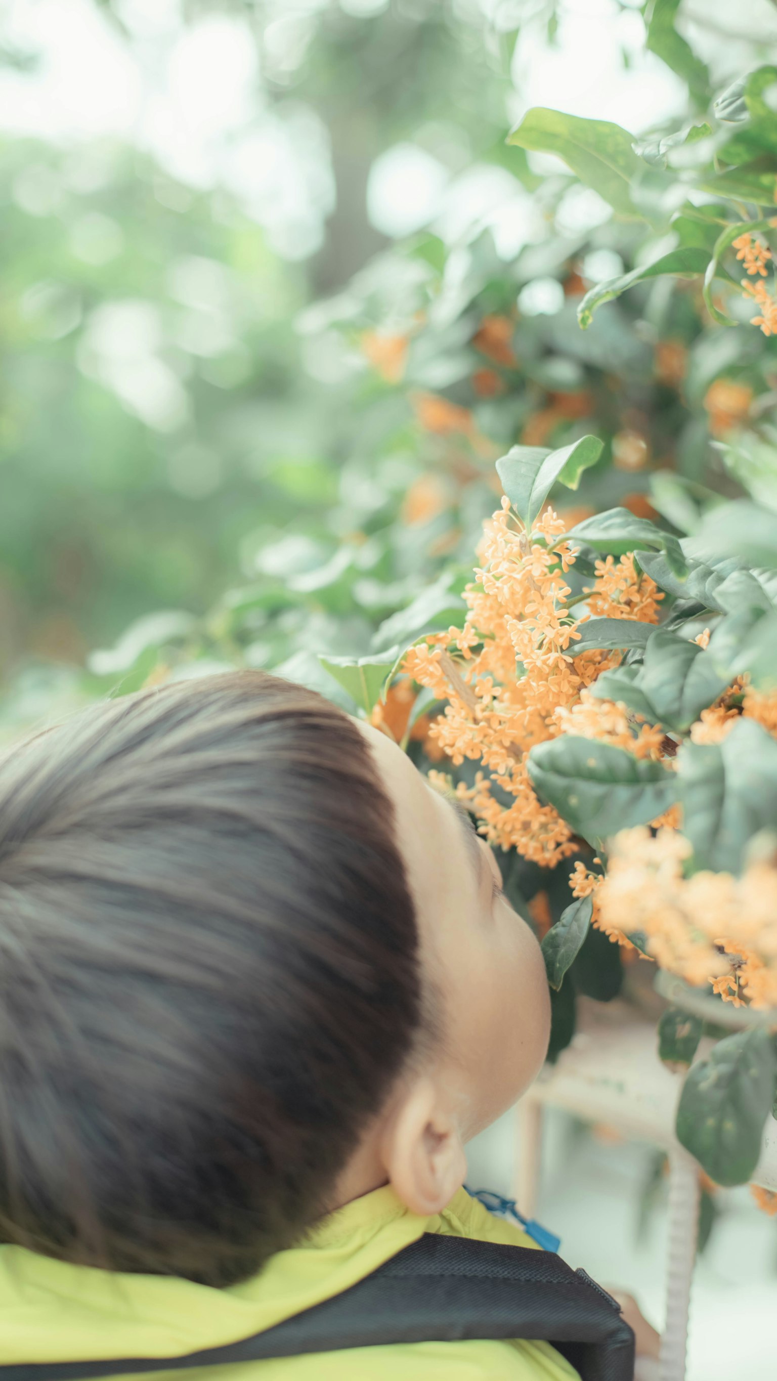 Un enfant se penchant pour sentir des fleurs oranges