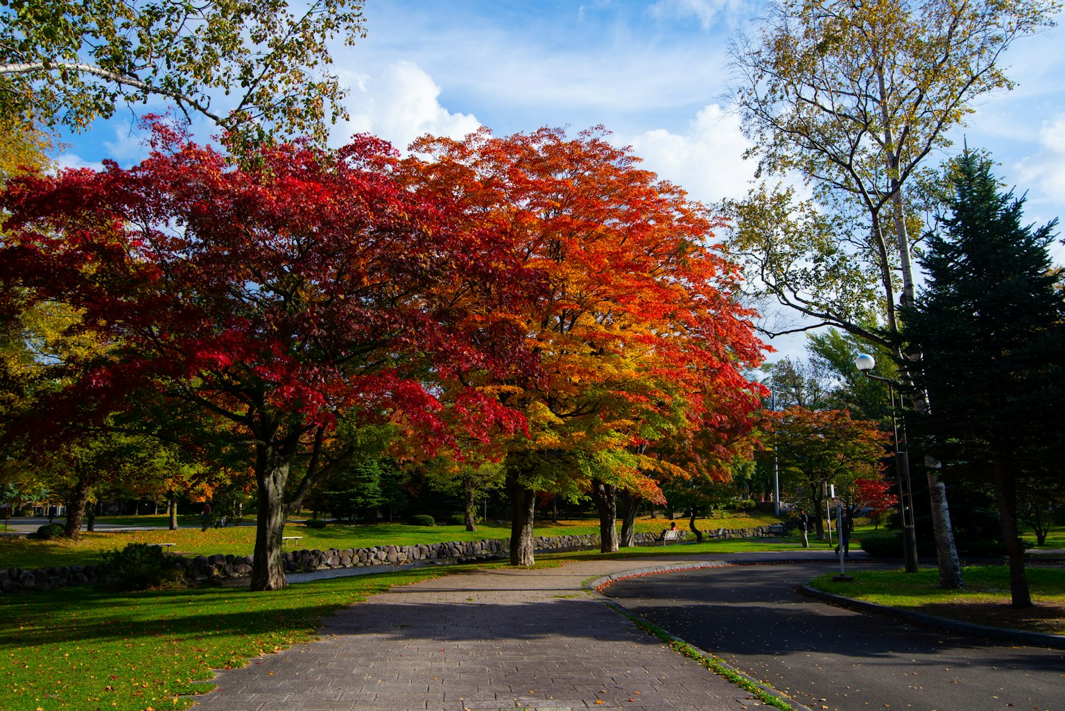Bellissimo paesaggio parco con fogliame autunnale