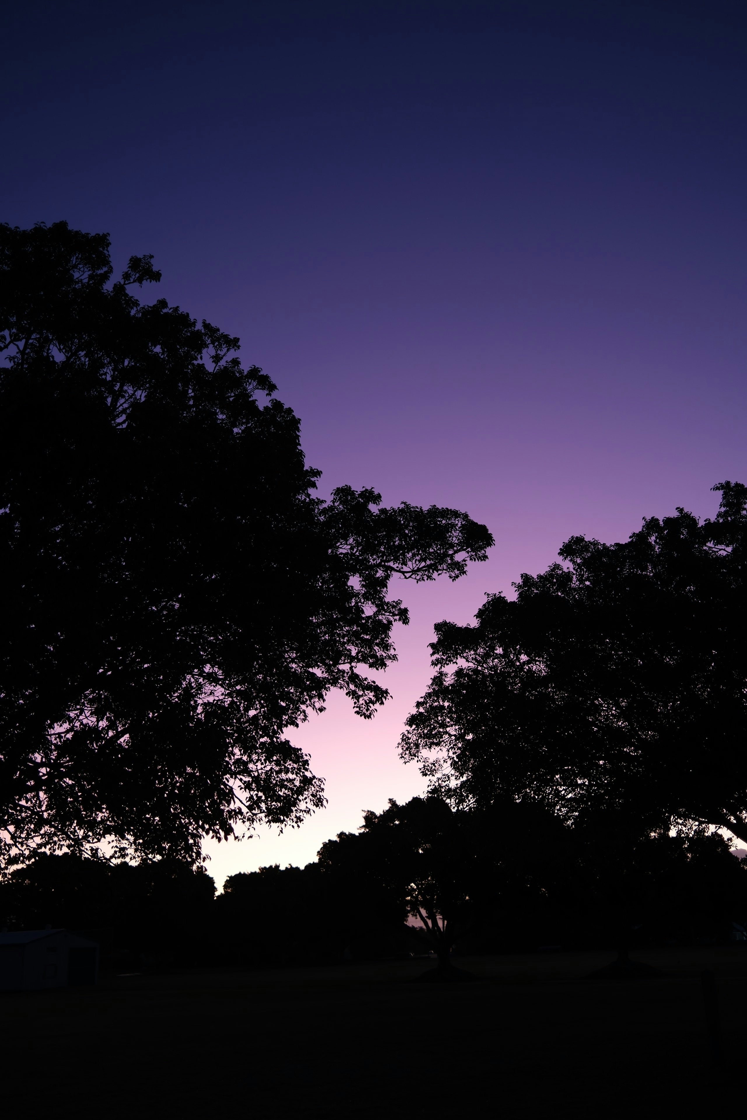 夕暮れの空と木々のシルエット