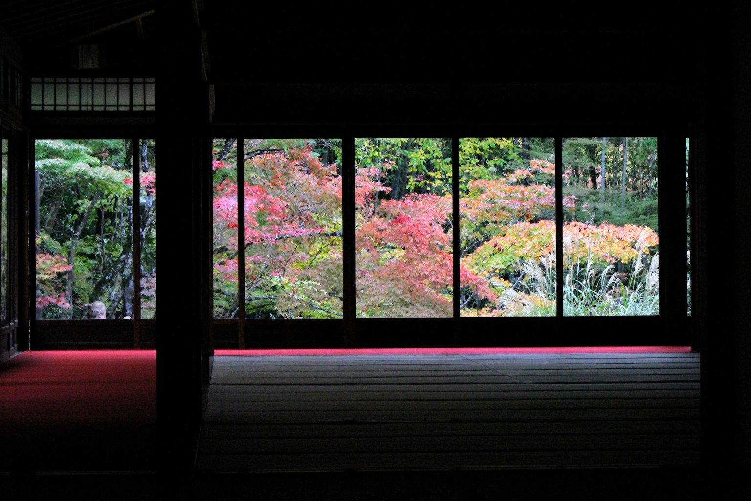 View of colorful autumn foliage through large windows from a dark room