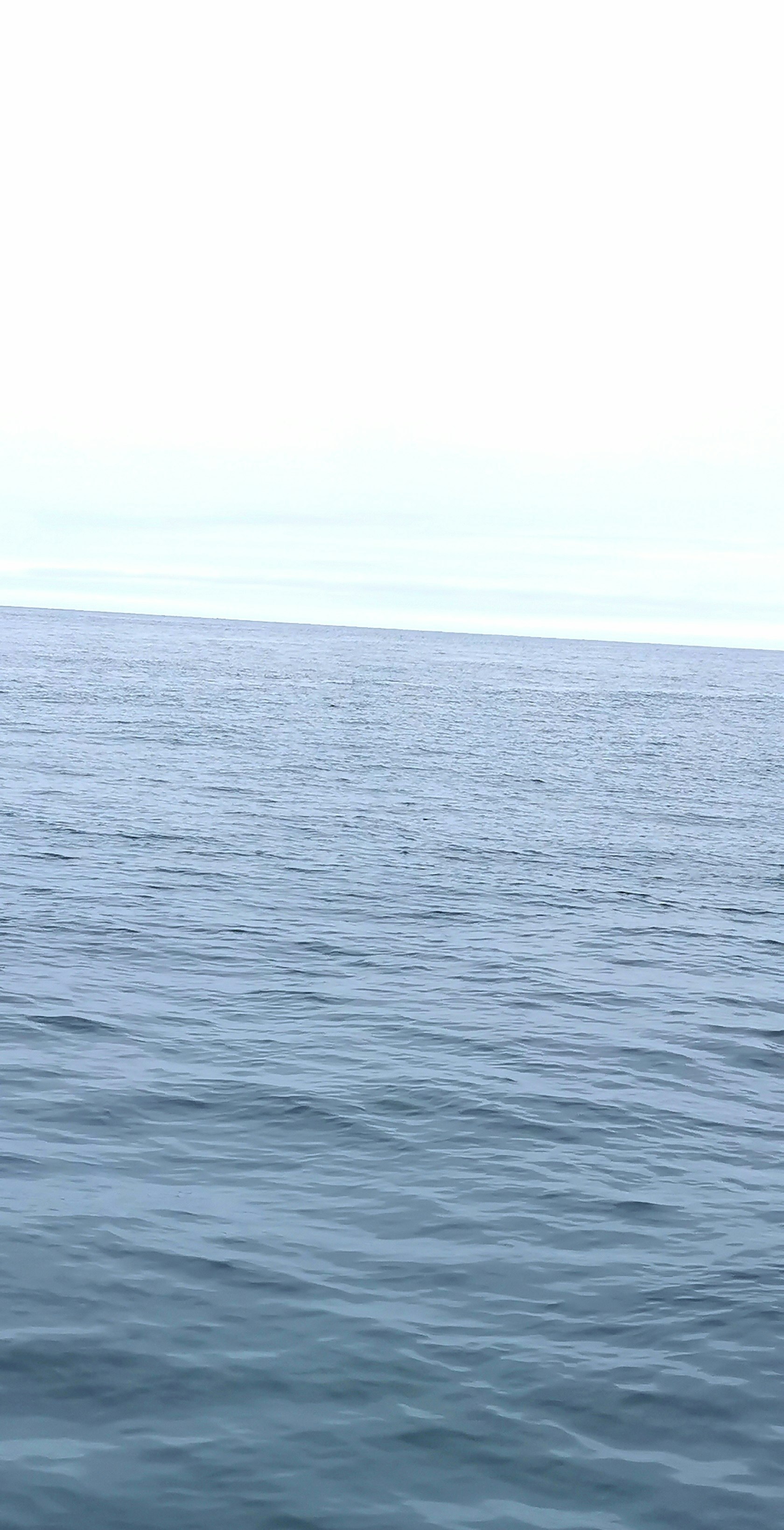 水平線まで広がる海の波のある風景
