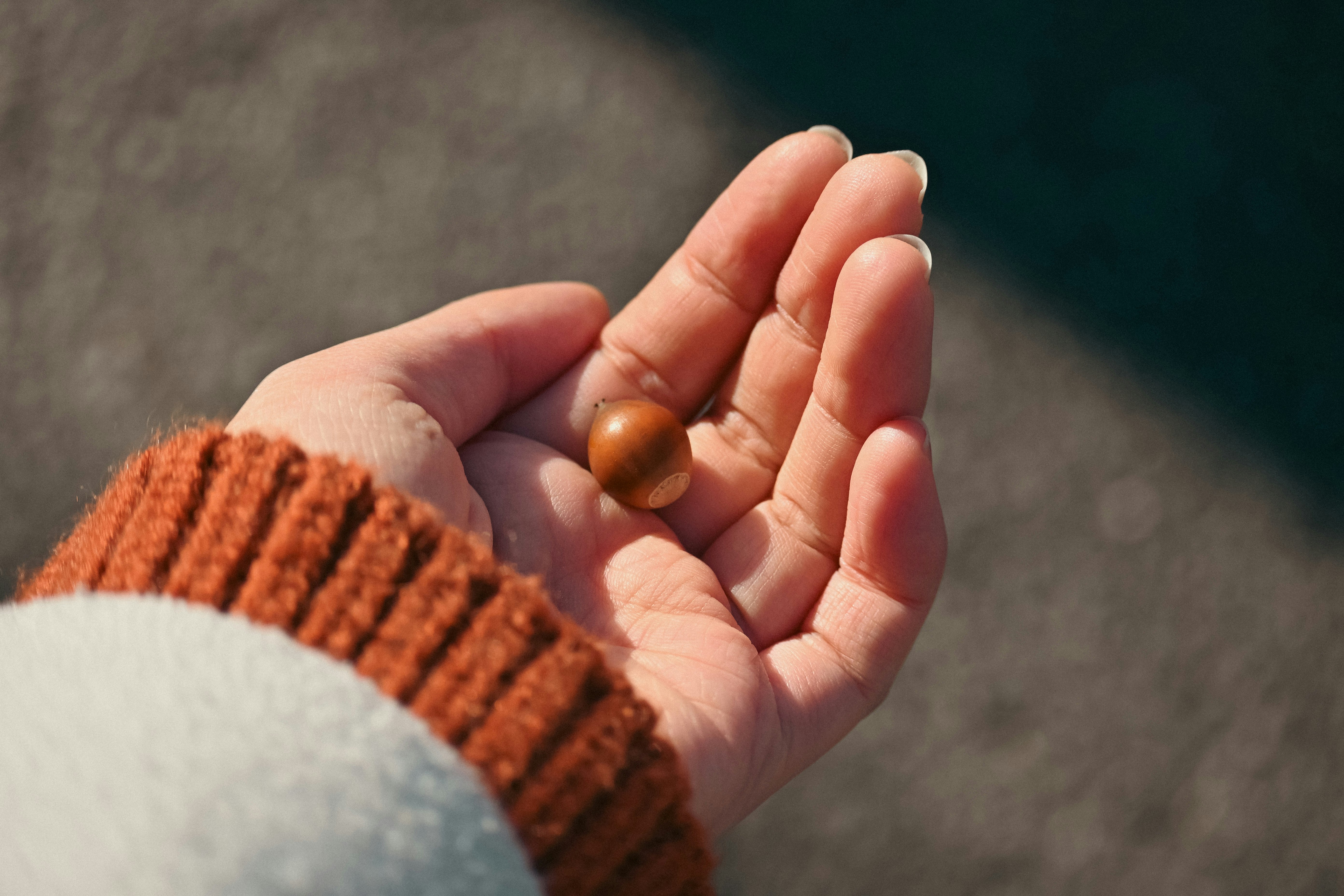 small candy in an open palm