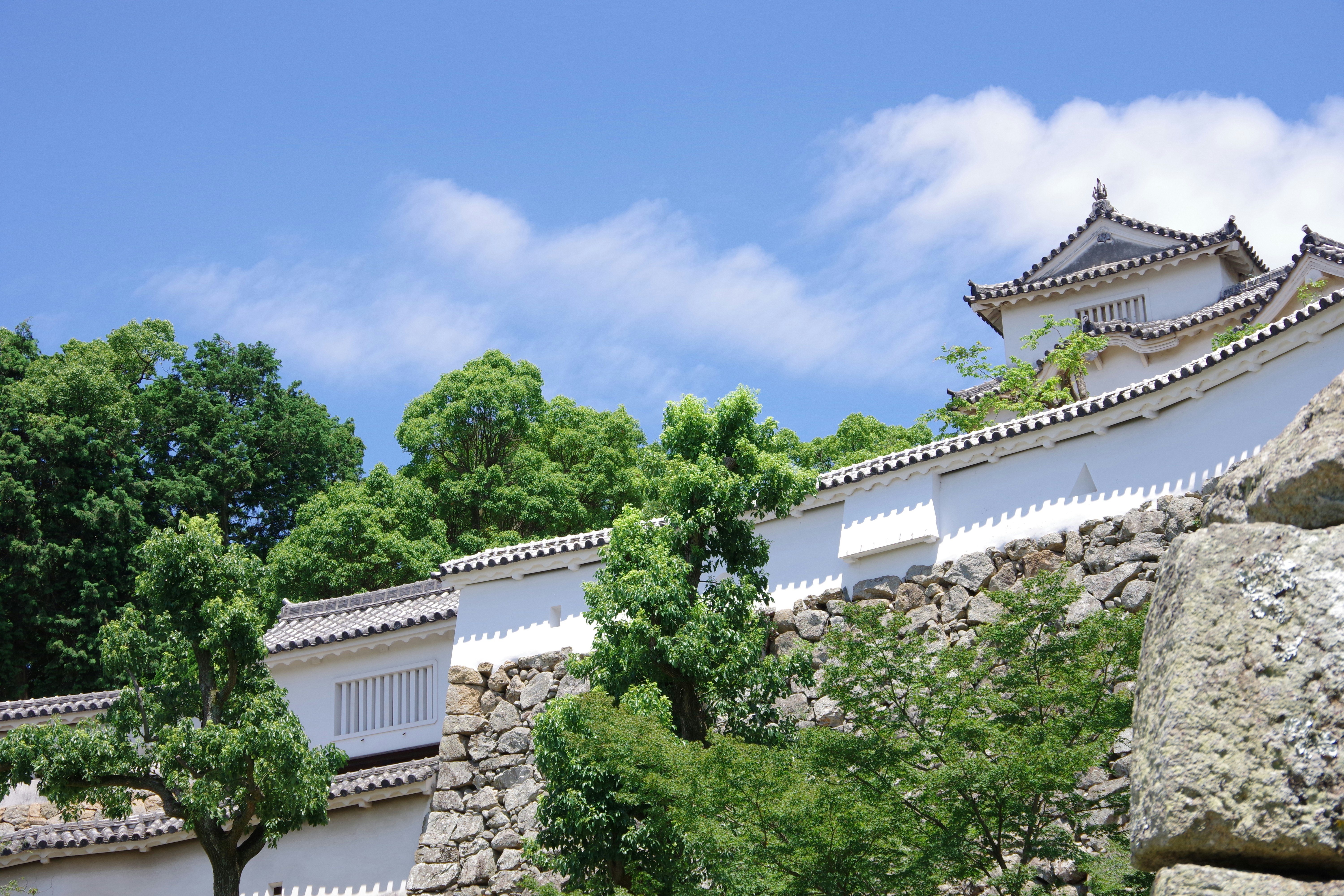 蓝天下白色城墙与石垒、绿树环绕的城堡景观