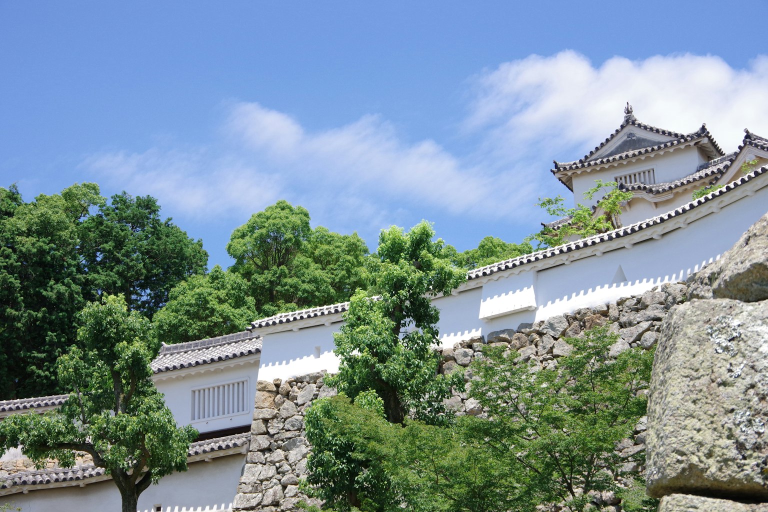 蓝天之下的白色城墙和绿色树木的风景