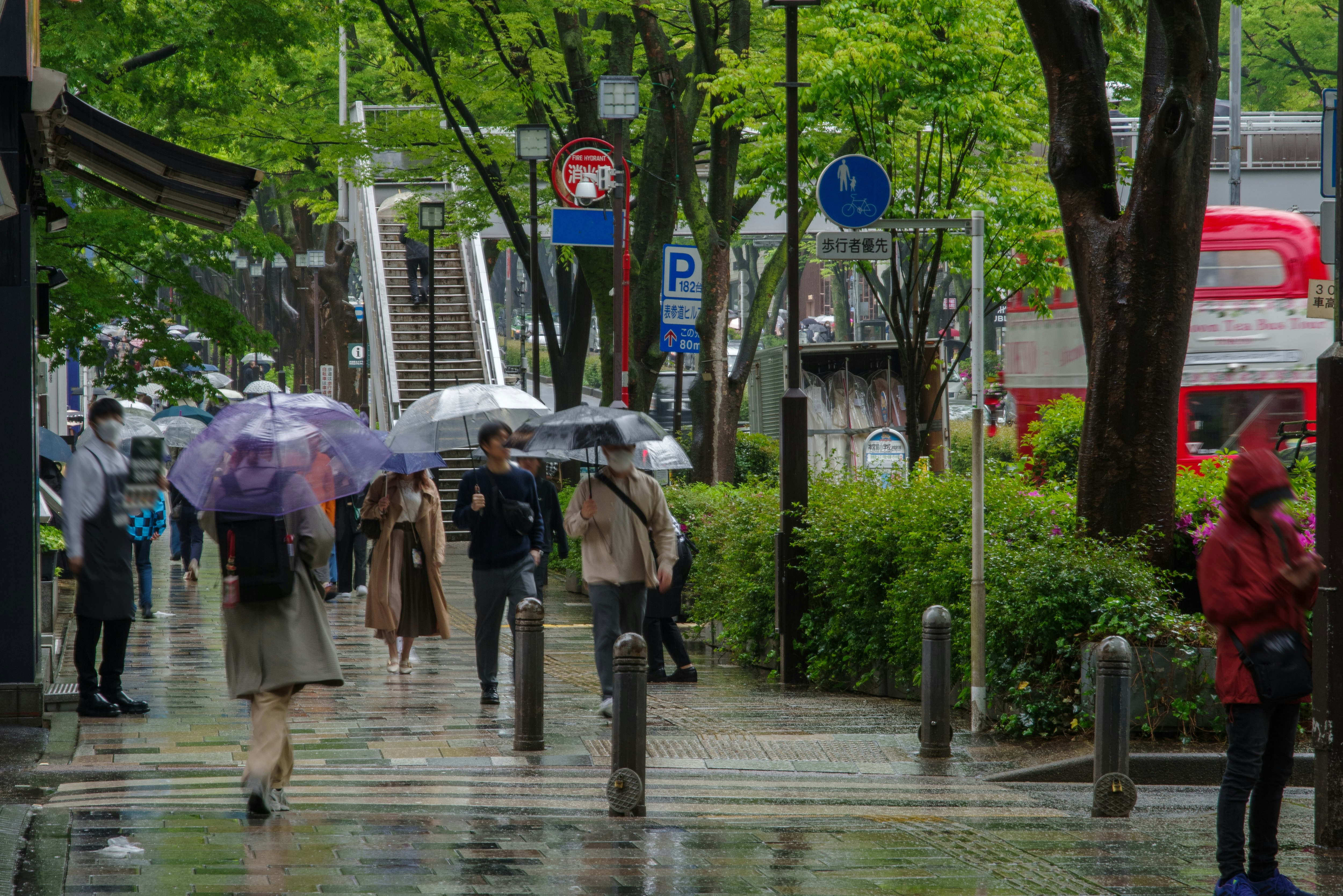 雨上がりの並木道を歩く人々のある街の通り