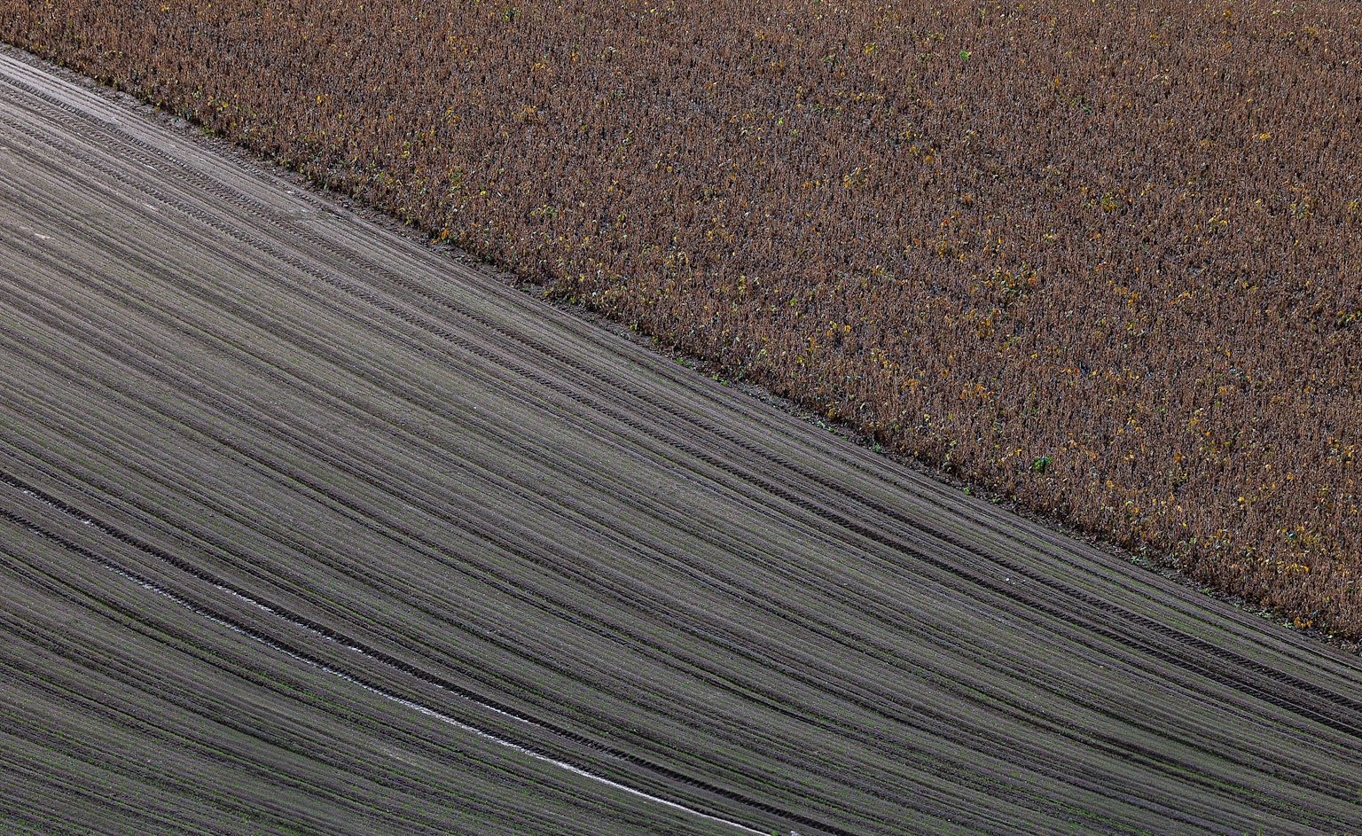 Un paysage de terres agricoles en pente avec des bandes vertes et brunes