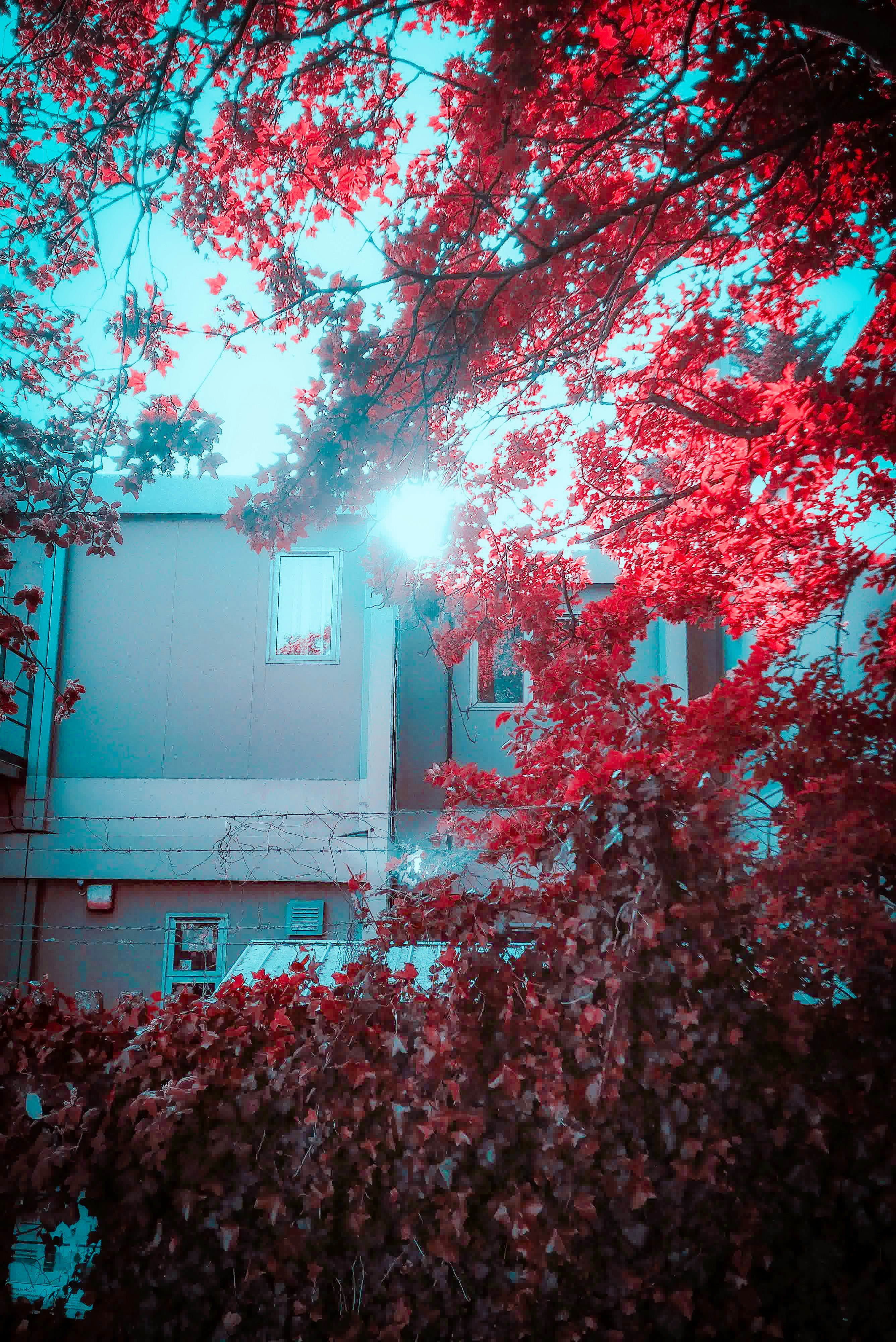 photo-o7zMrDkPka6oP1MifJGx
