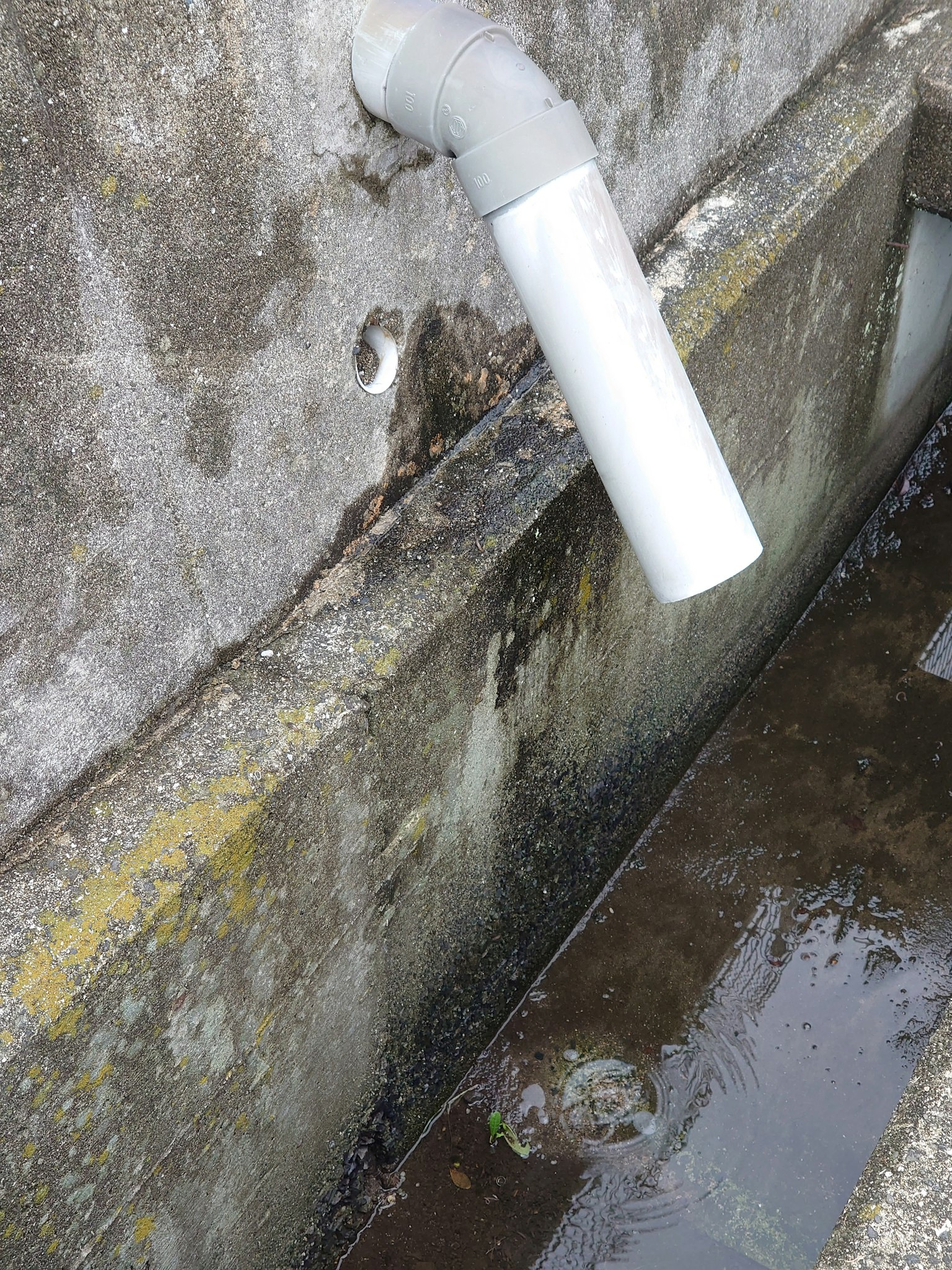 Pared de concreto húmedo con un tubo de desagüe blanco y charco
