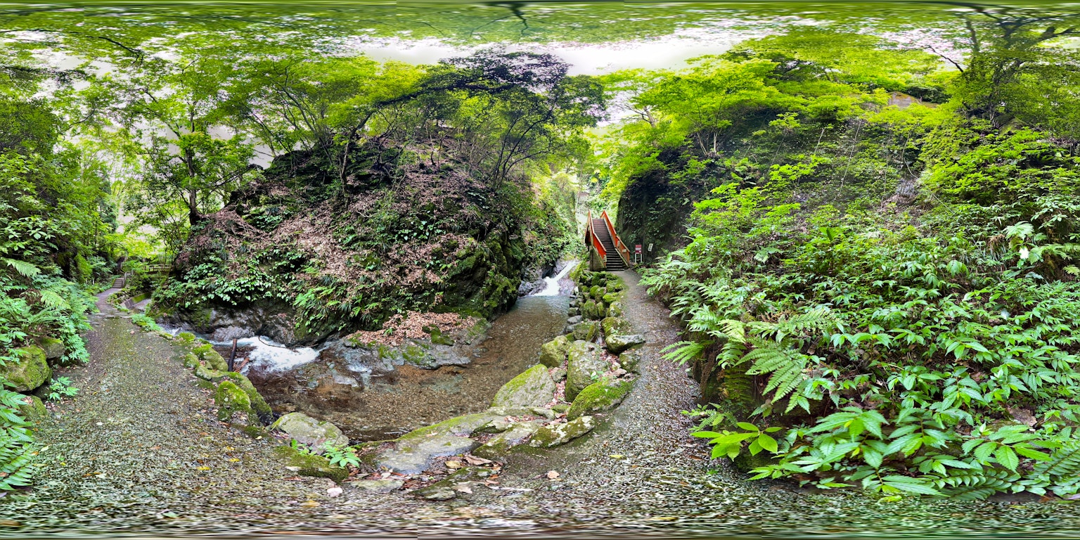 Paisaje forestal exuberante con un arroyo y formaciones rocosas