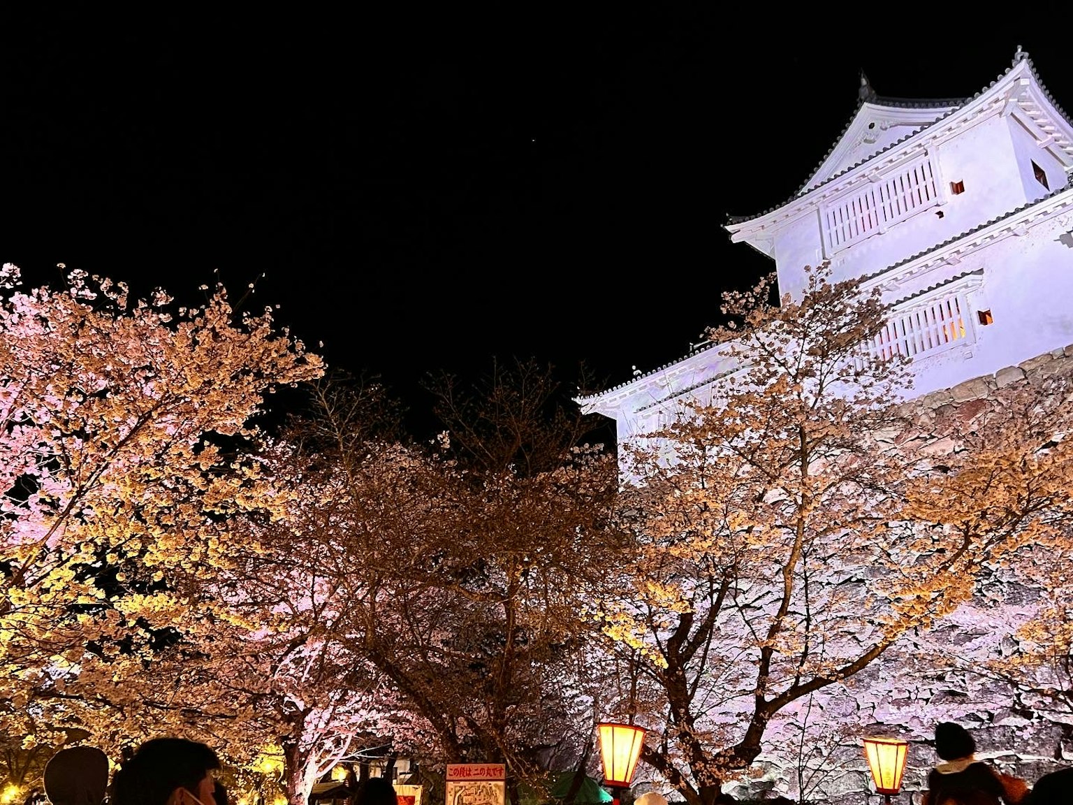 Vista nocturna de cerezos en flor con personas y un castillo blanco
