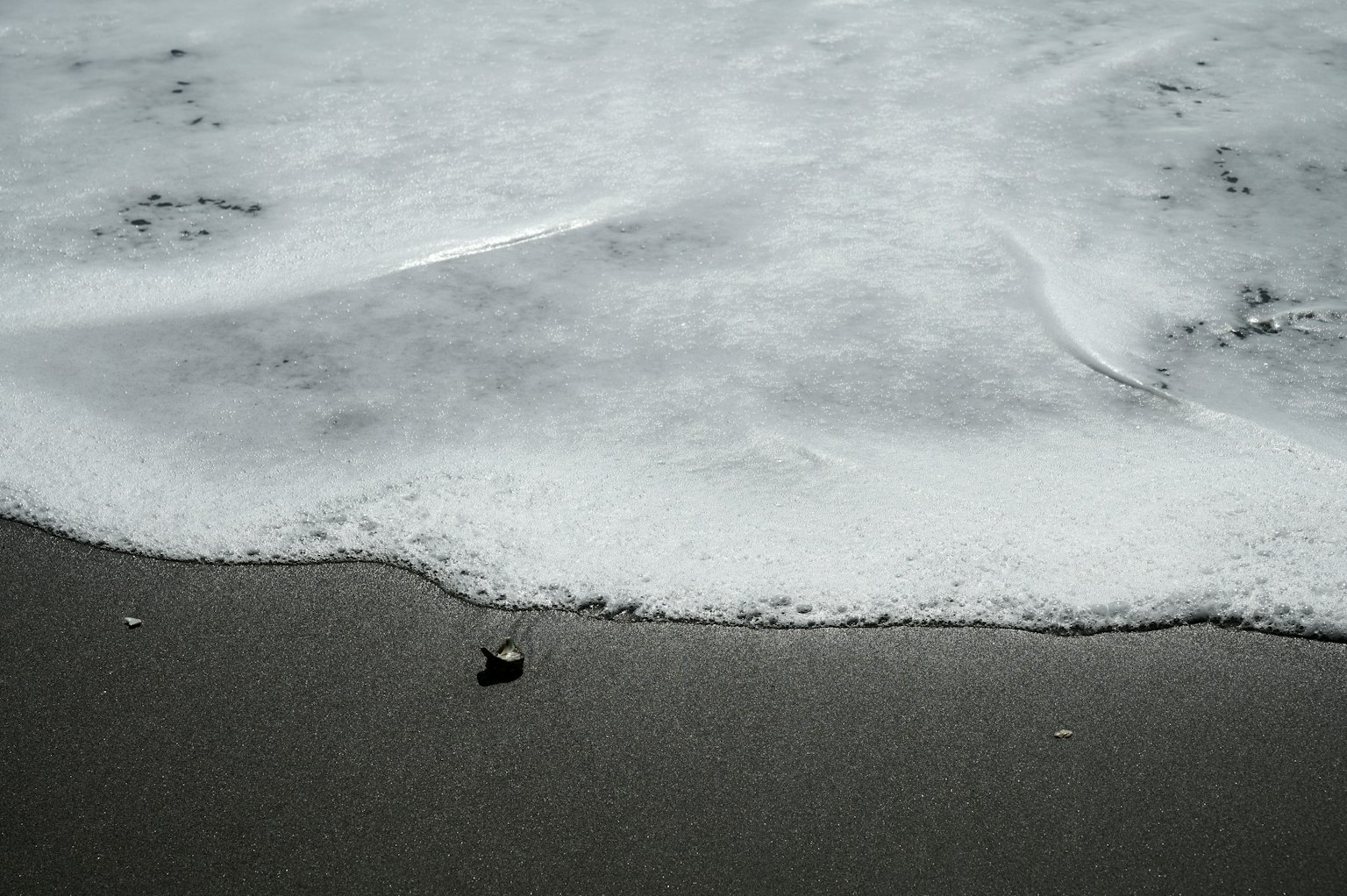 Primo piano di una spiaggia con onde che si infrangono sulla sabbia e una piccola conchiglia