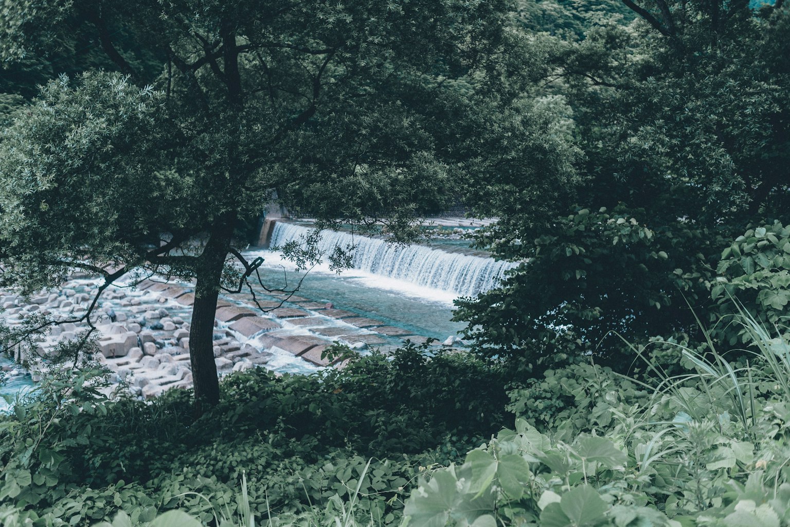 Vista escénica de una cascada rodeada de vegetación exuberante