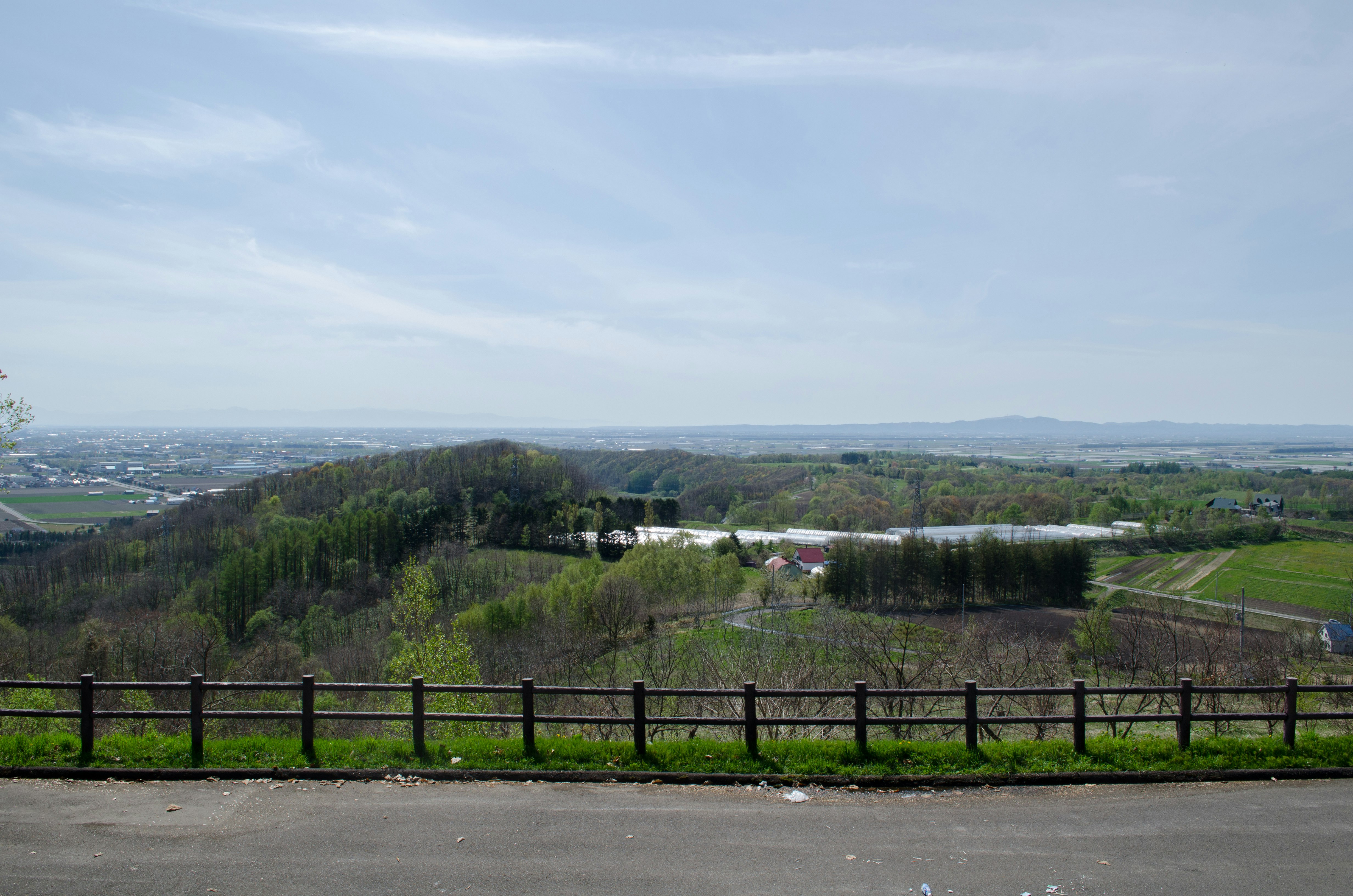 vista di campagna su campi ondulati e bosco