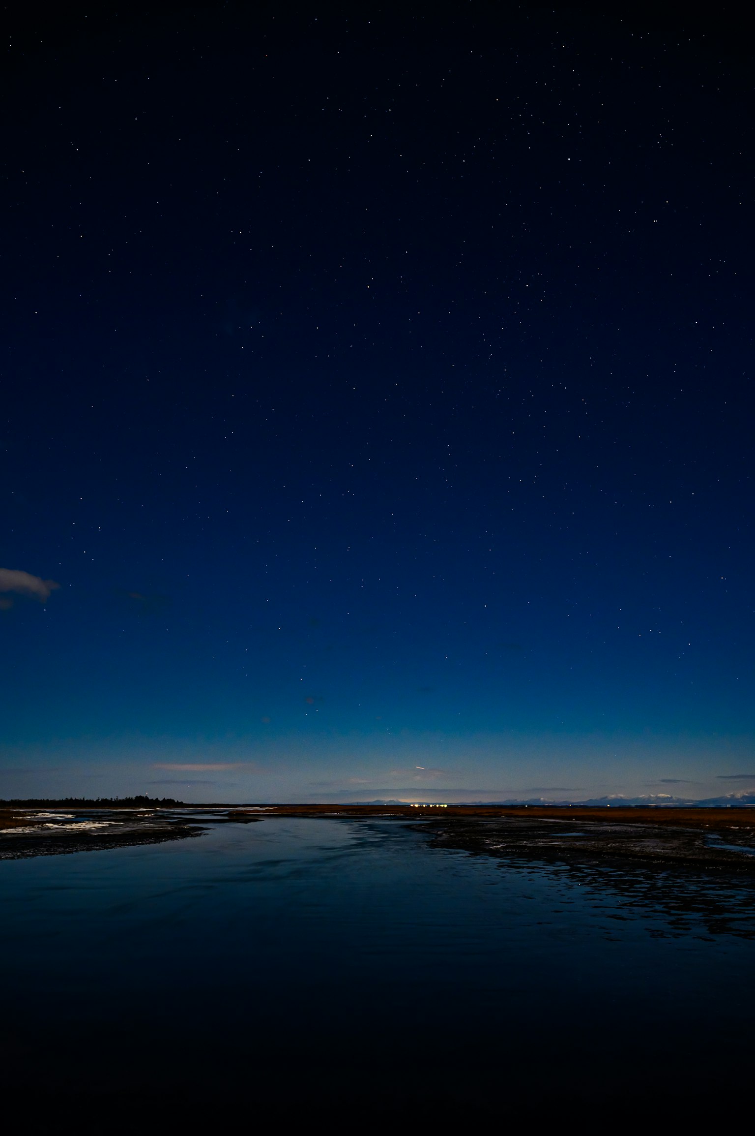 Beau paysage nocturne avec ciel étoilé et surface d'eau