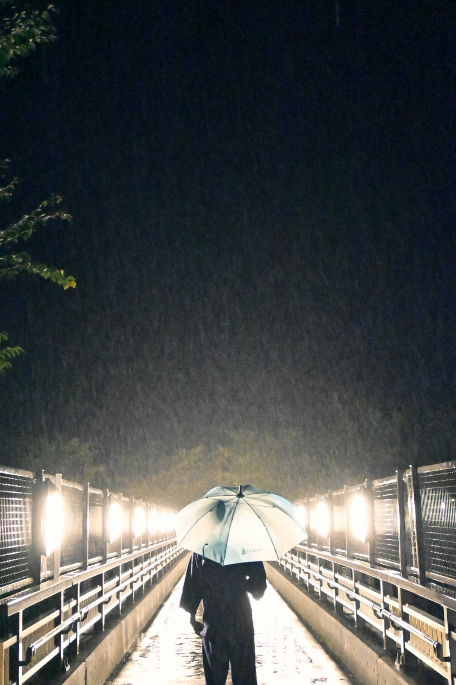 คนที่ถือร่มเดินอยู่บนสะพานที่มีแสงไฟในฝนตอนกลางคืน