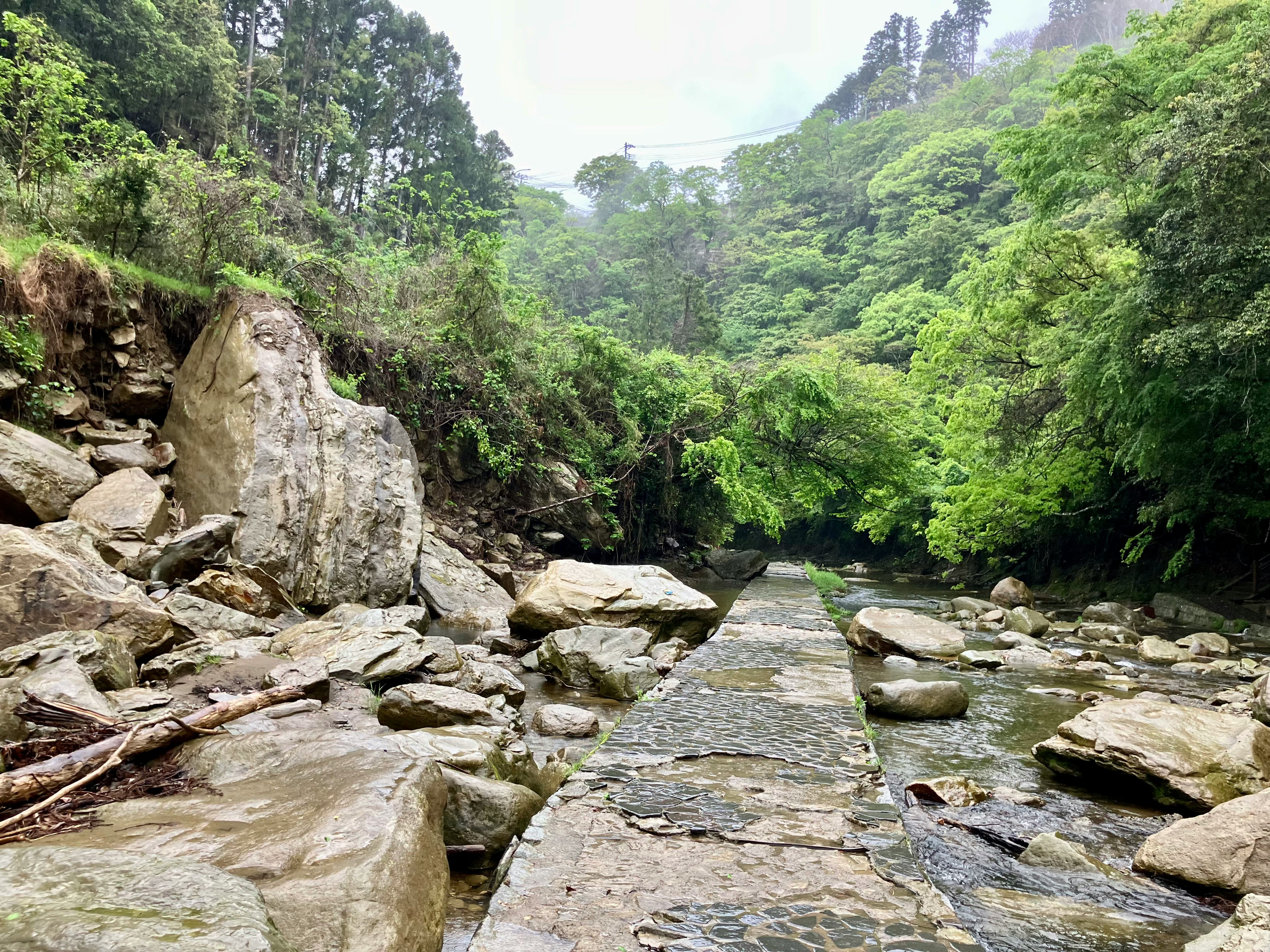mossy rocks and a small stream flowing through a green valley