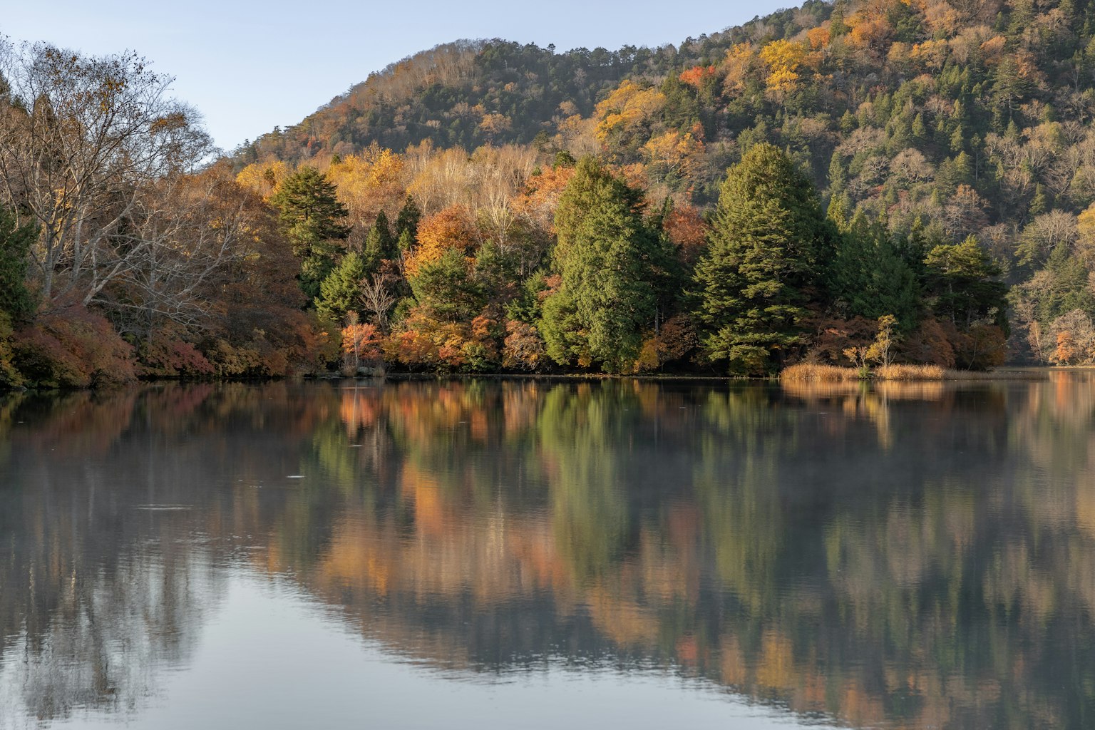 Lac calme avec de belles réflexions des arbres d'automne