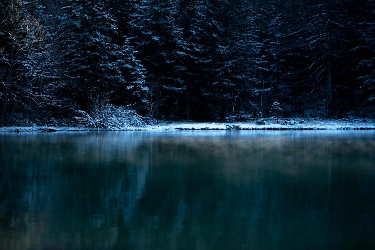 Lago sereno con alberi coperti di neve