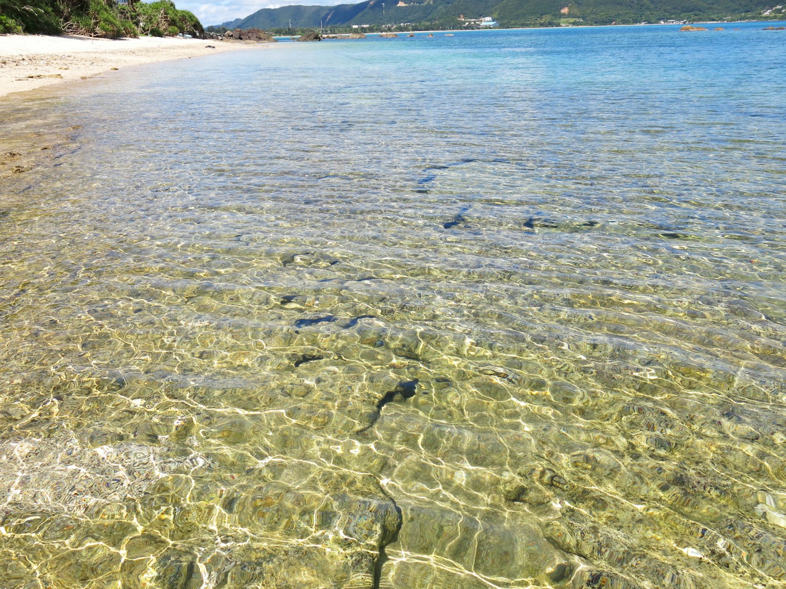清澈的海灘景色，透明的水和沙灘