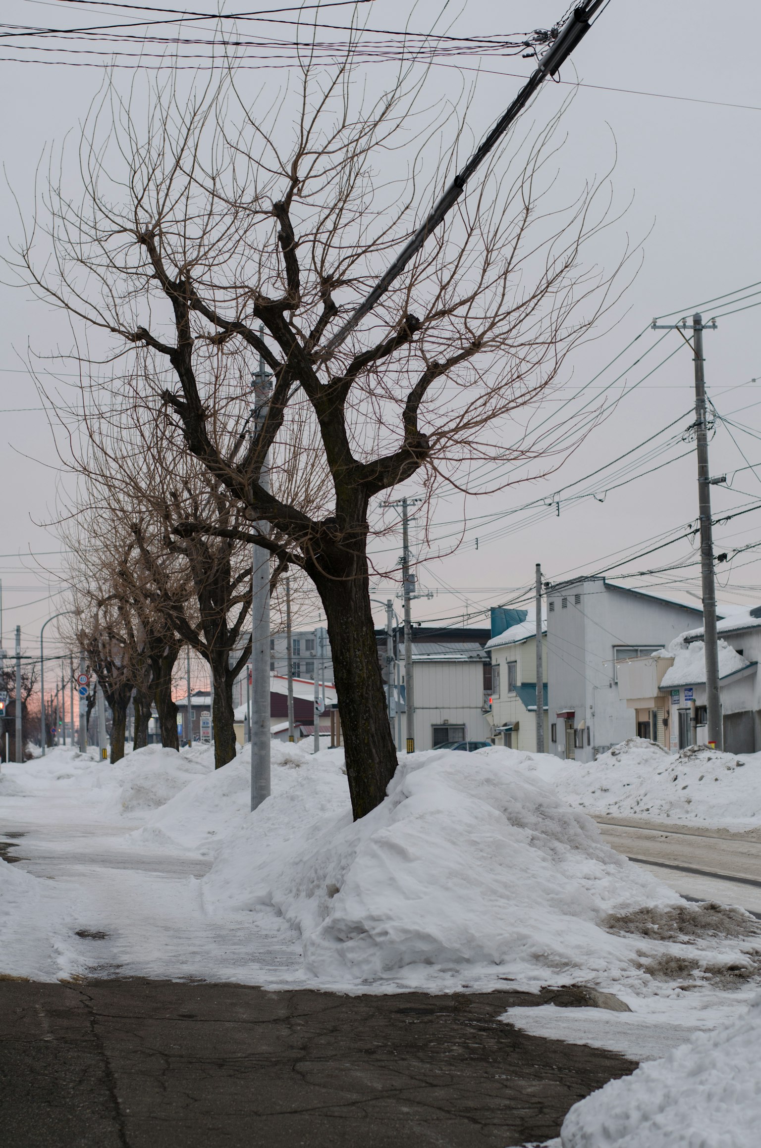 Winterlandschaft entlang einer verschneiten Straße mit kahlen Bäumen und Strommasten