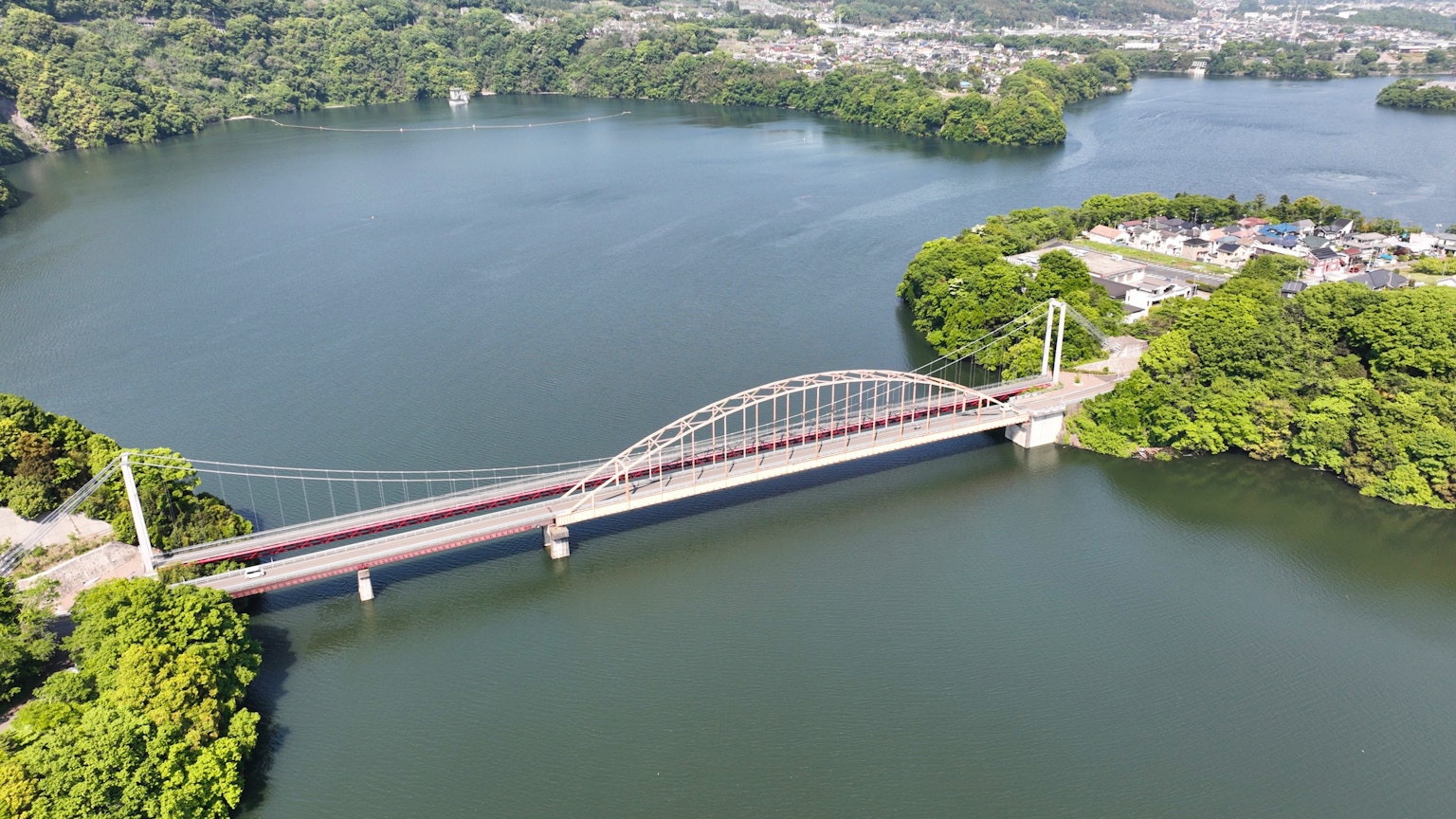 Vista aerea di un ponte ad arco che attraversa un lago circondato da vegetazione